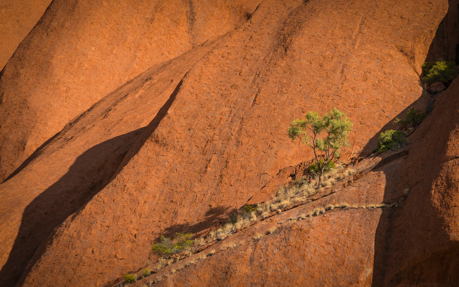 Ross Holmes,11 1 Rockscape,26,Print - LandscapeSeascape Print - LandscapeSeascape.jpg