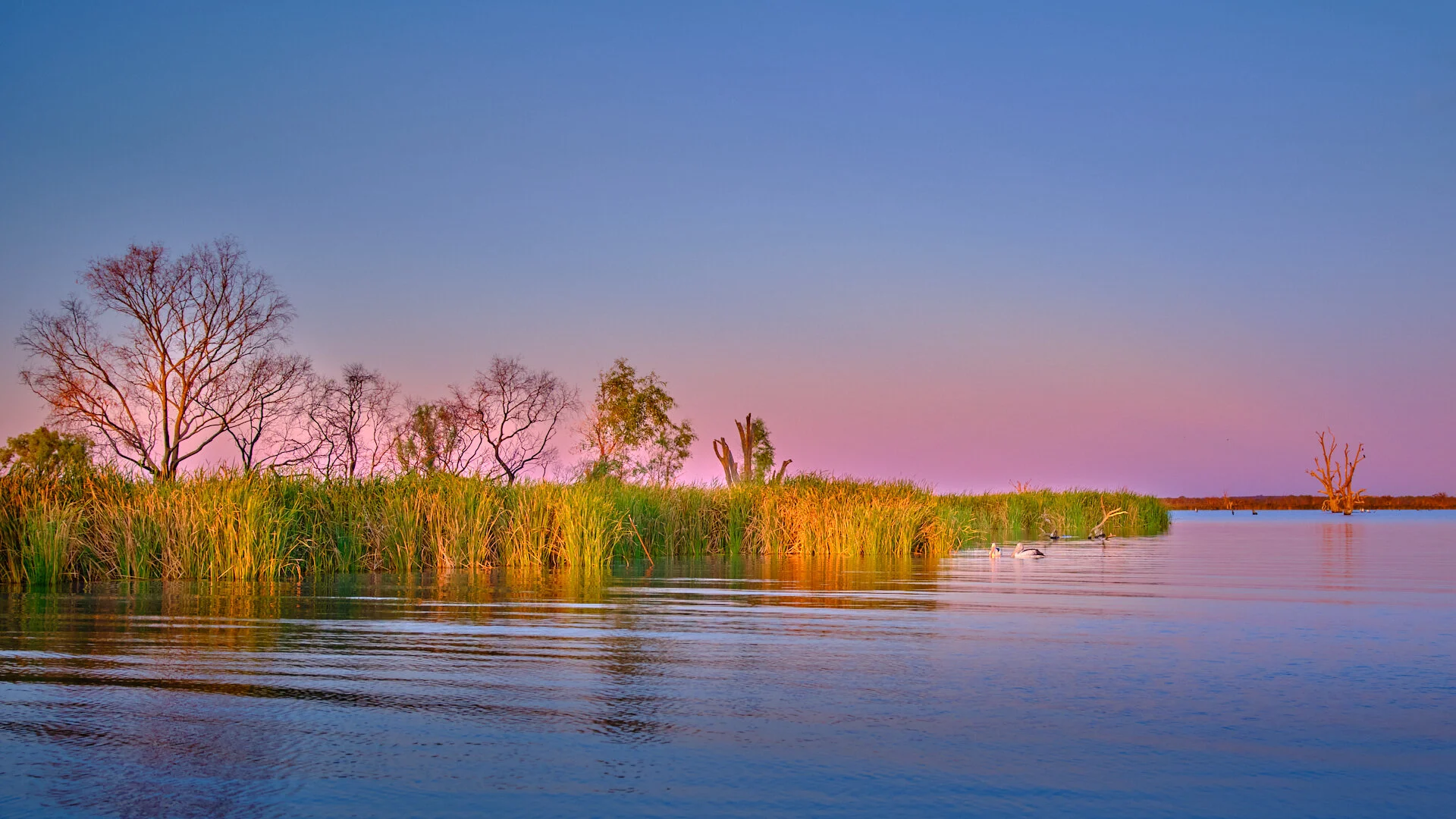 alan[bevan@me[com~PDI~Oscars PDIs~1.jpg