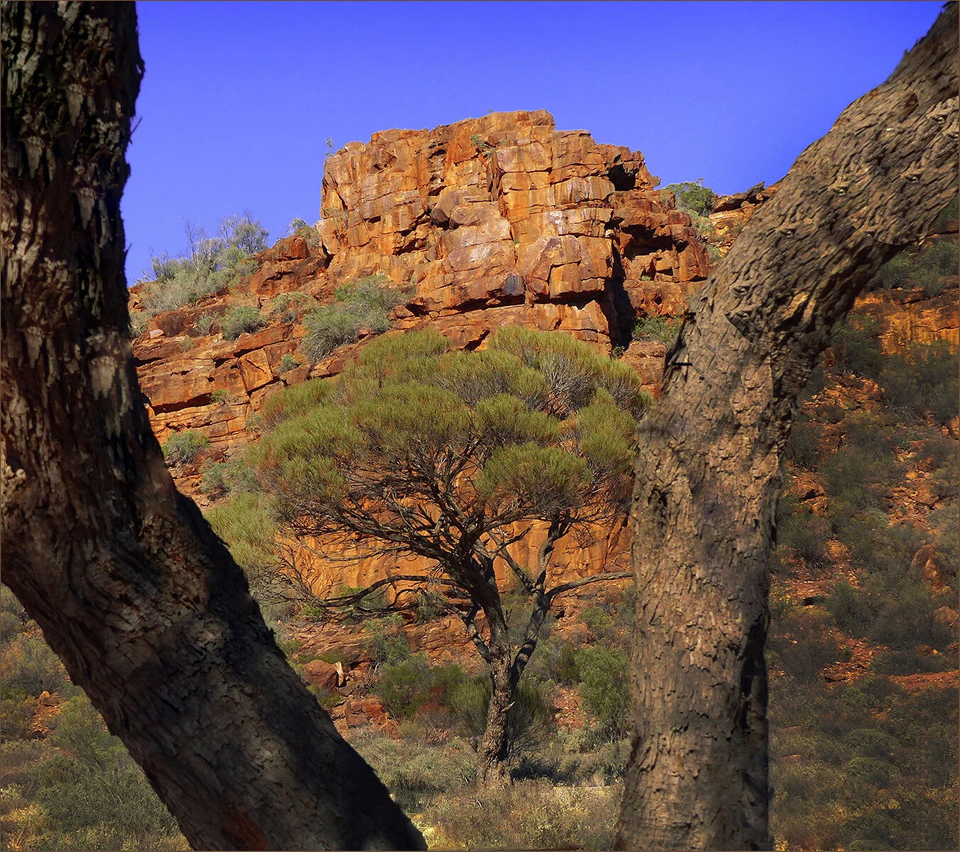 brooksda3@bigpond[com]4~PDI~Oscars PDIs~1.JPG