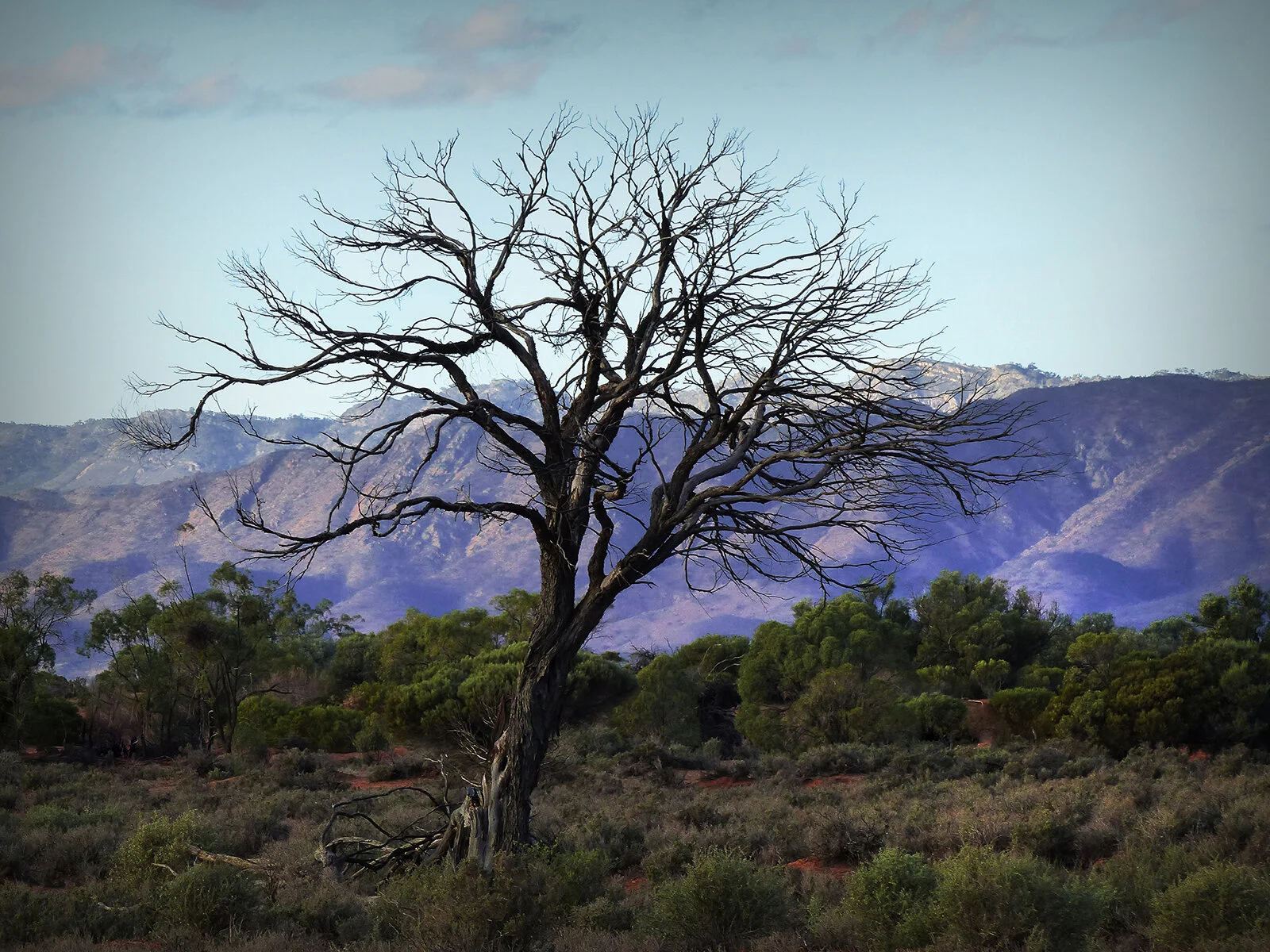 brooksda3@bigpond[com]4~PDI~Oscars PDIs~4.JPG