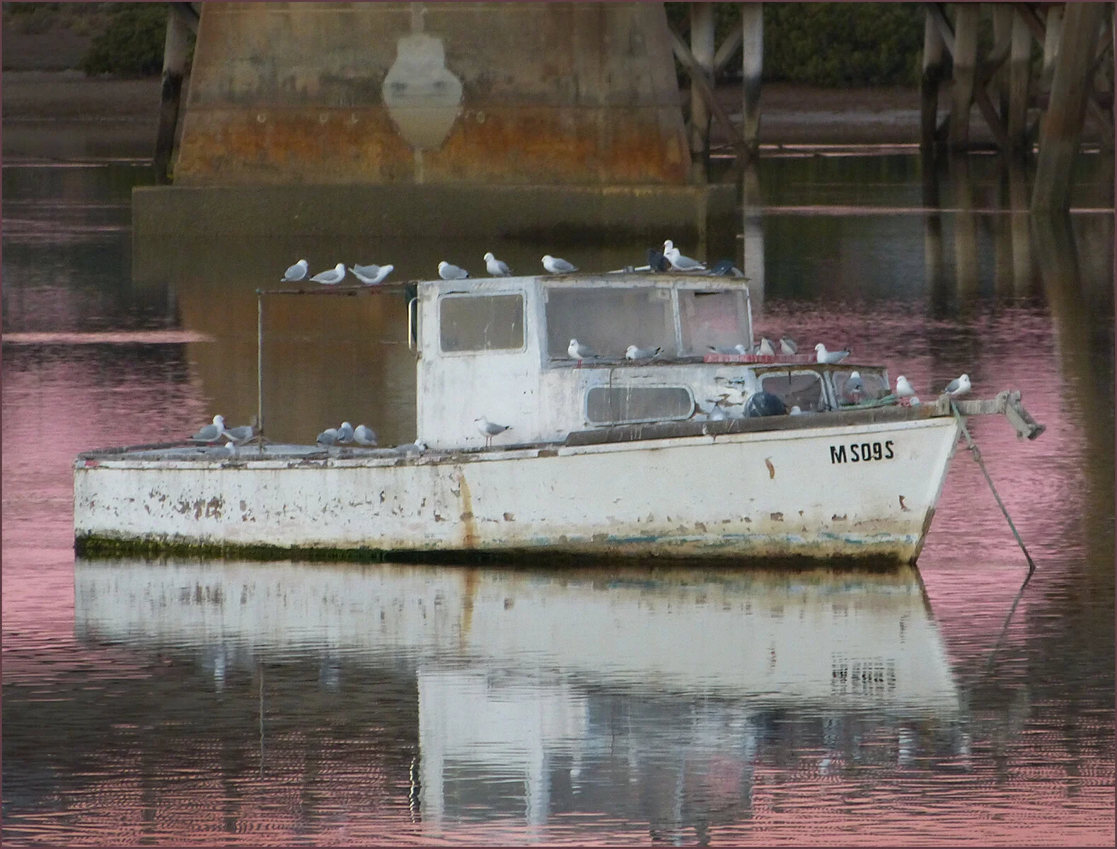 brooksda3@bigpond[com~PDI~Oscars PDIs~2.JPG