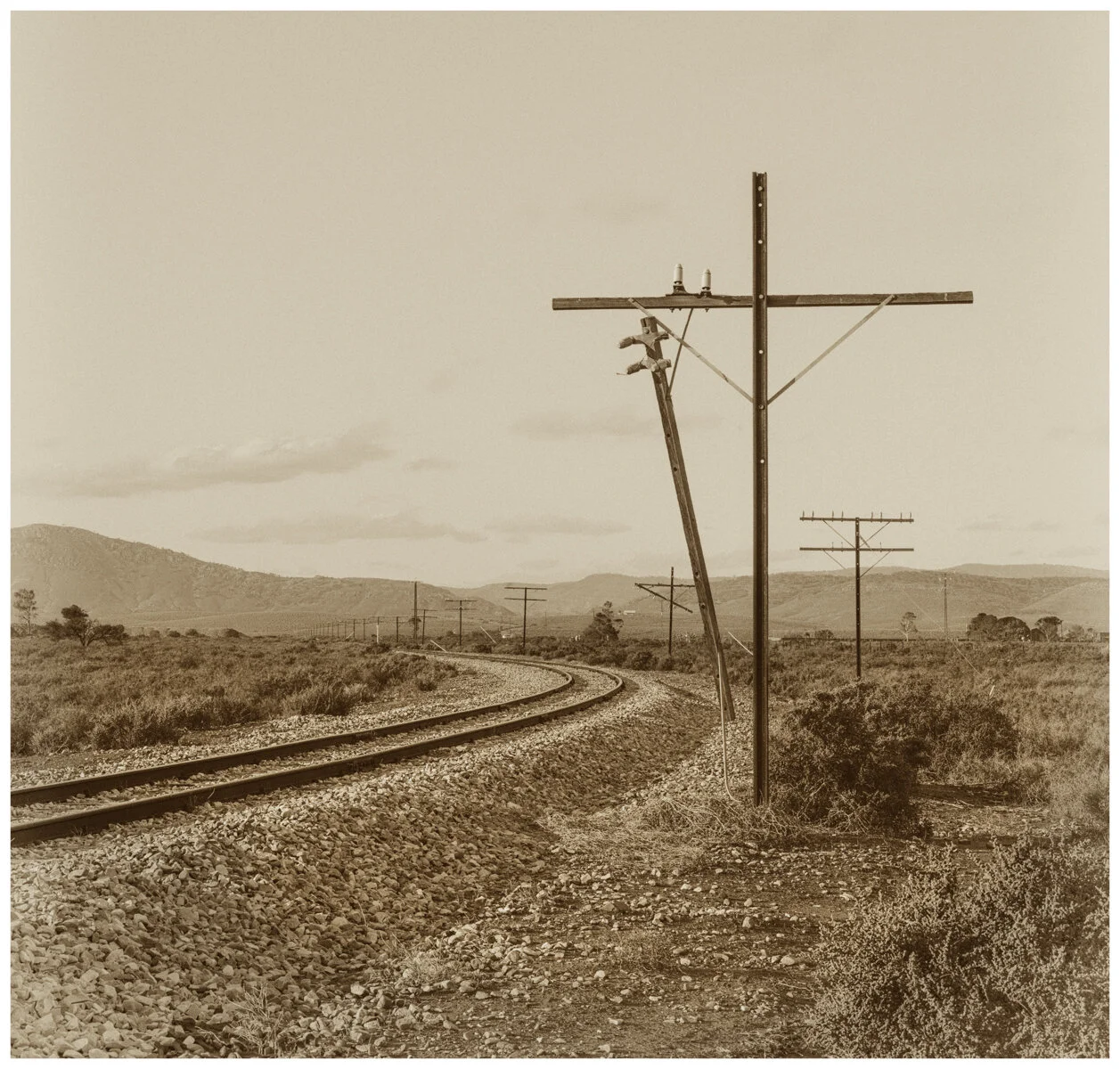 kseidel@bigpond[net[au]2~PDI~Oscars PDIs~1.JPG