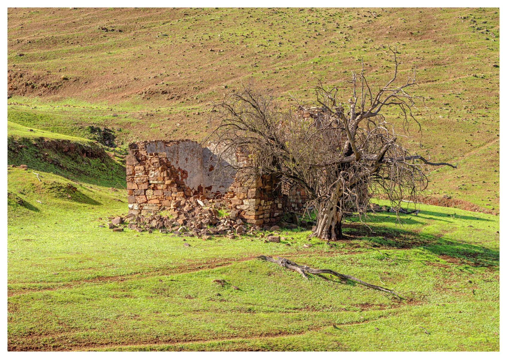 kseidel@bigpond[net[au]2~PDI~Oscars PDIs~4.JPG