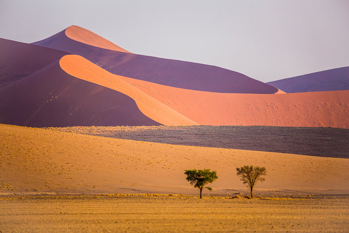 Robert Woodward-Sossusvlei.jpg