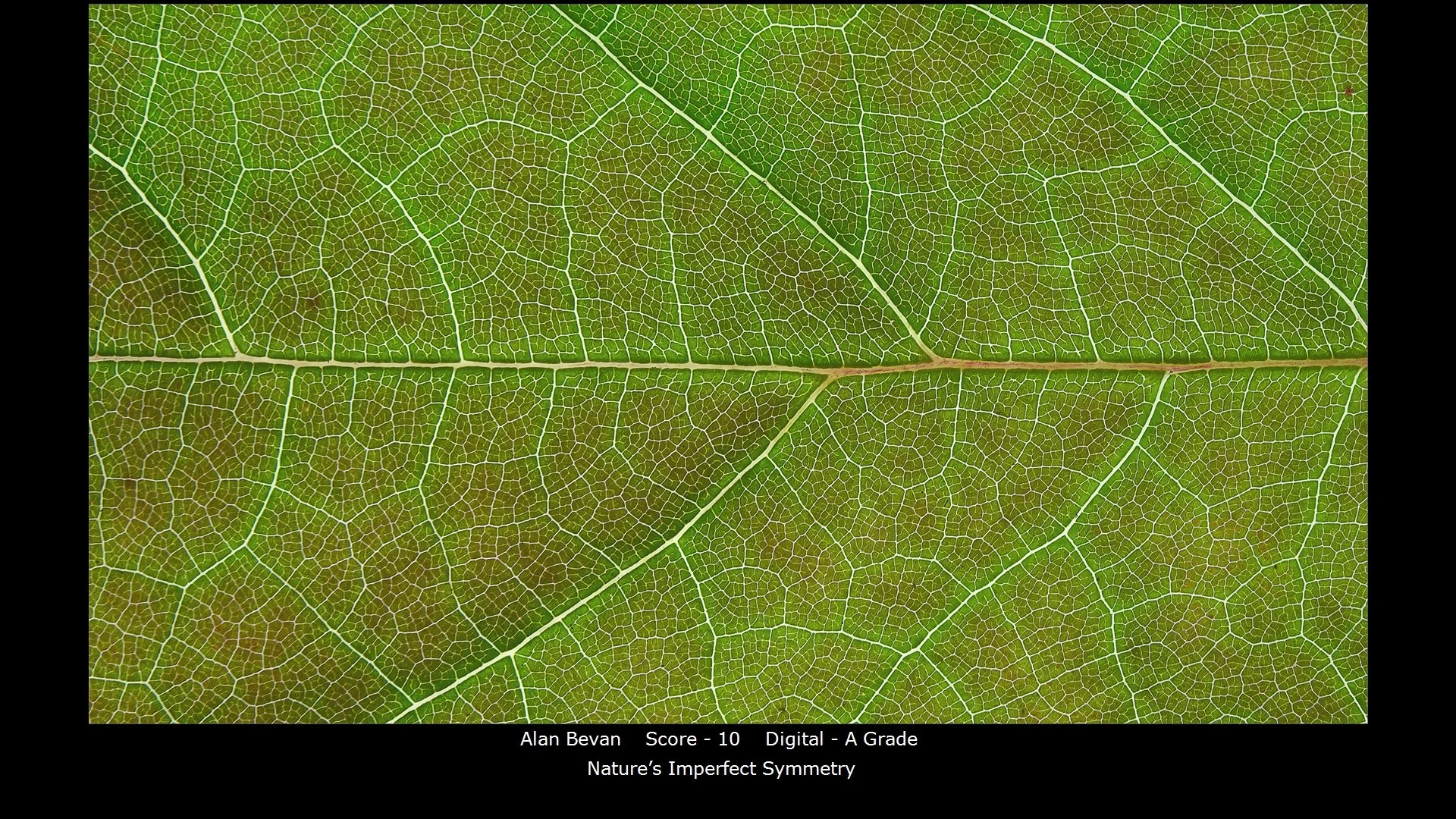 00003Digital - A Grade.jpg