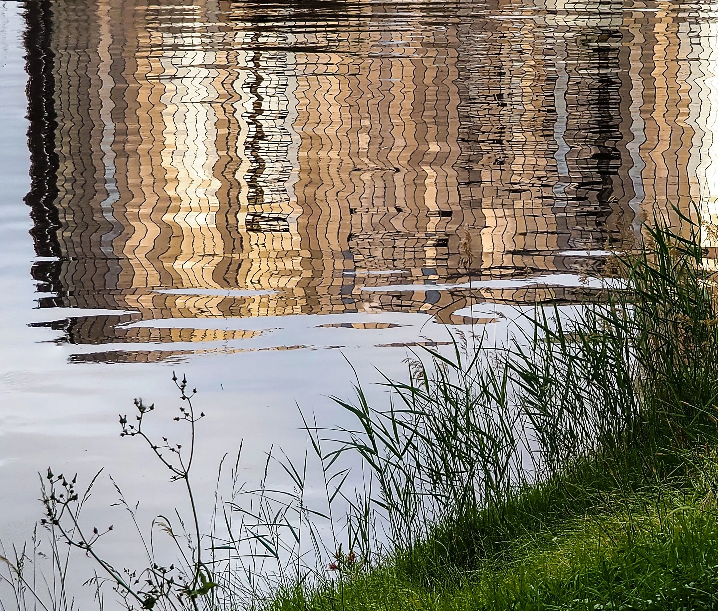Reflections.jpg