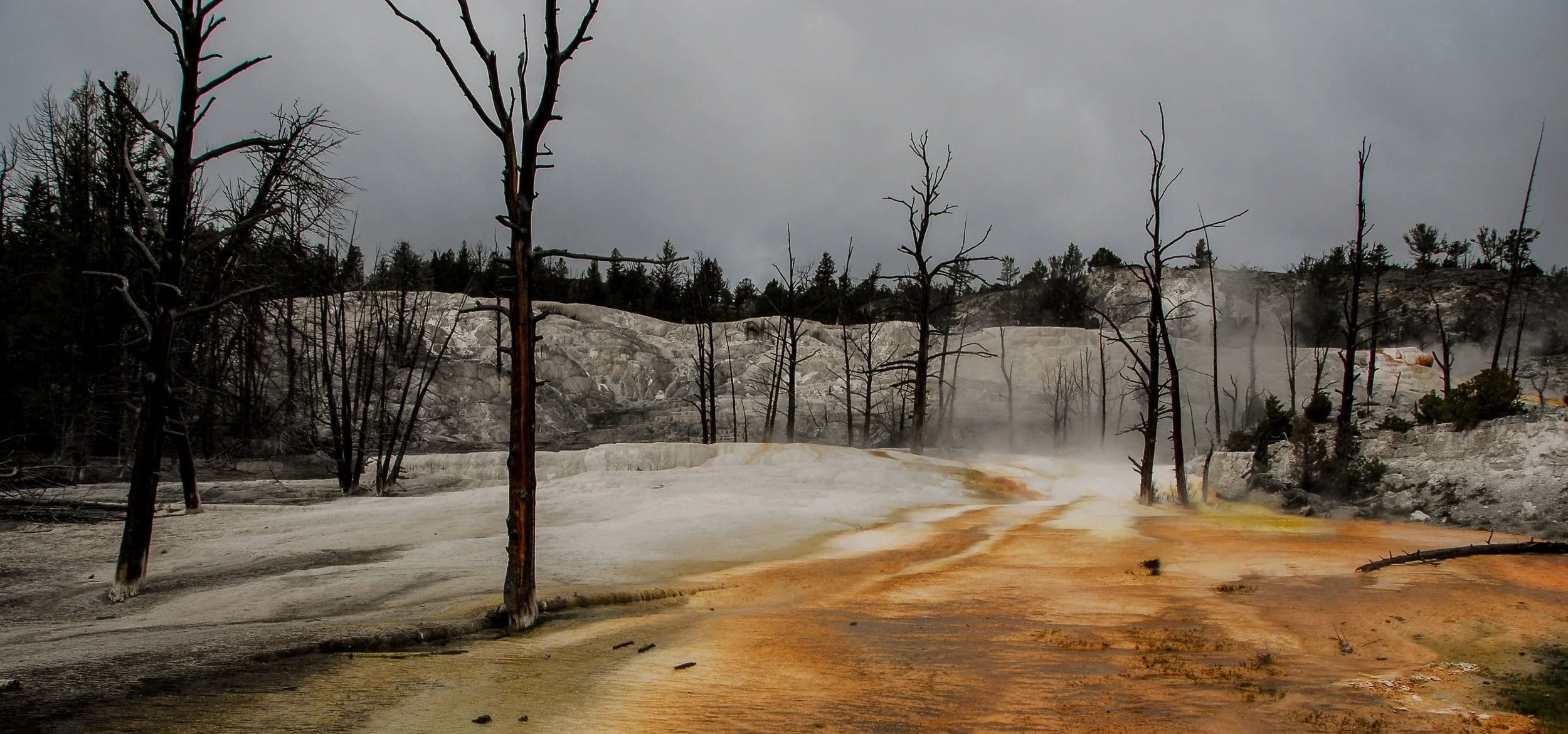 DI Colour-21 Ron Jackson EFIAP FAPS SSAPS Yellowstone Thermal Action.jpg