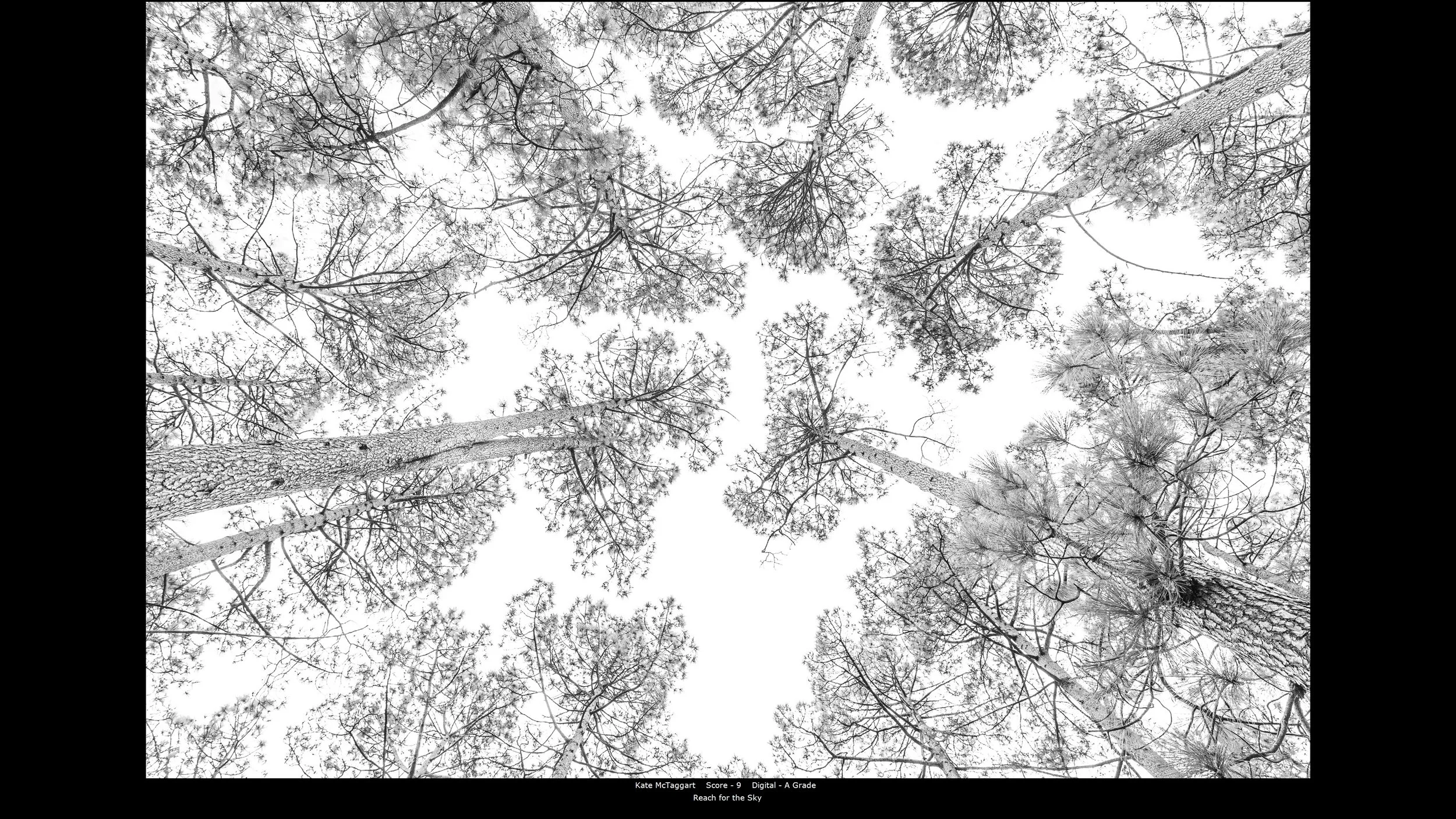 00005Digital - A Grade.jpg