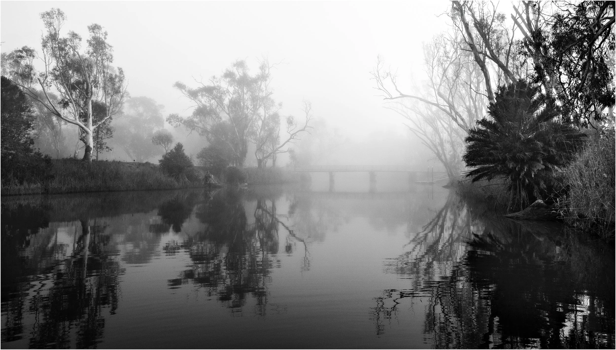 9~Wayne Hough~River Mist~2024-11-19~Monthly Digital - Mono.jpg