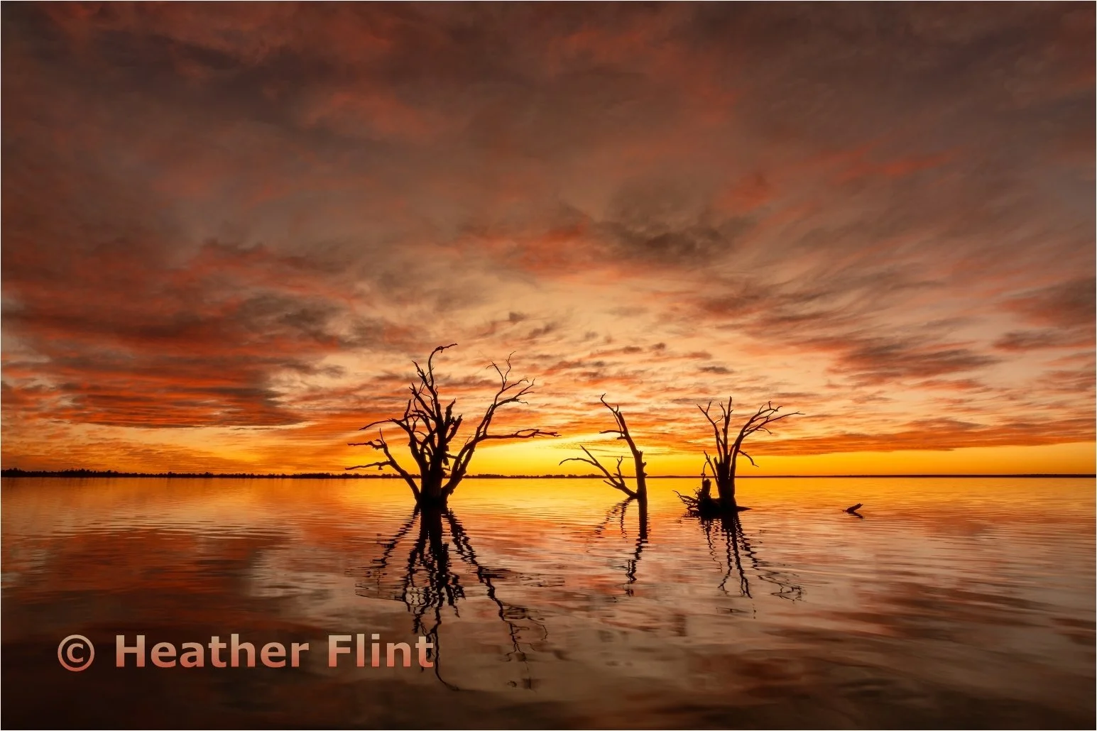 Heather Flint - Evening Palette - 9