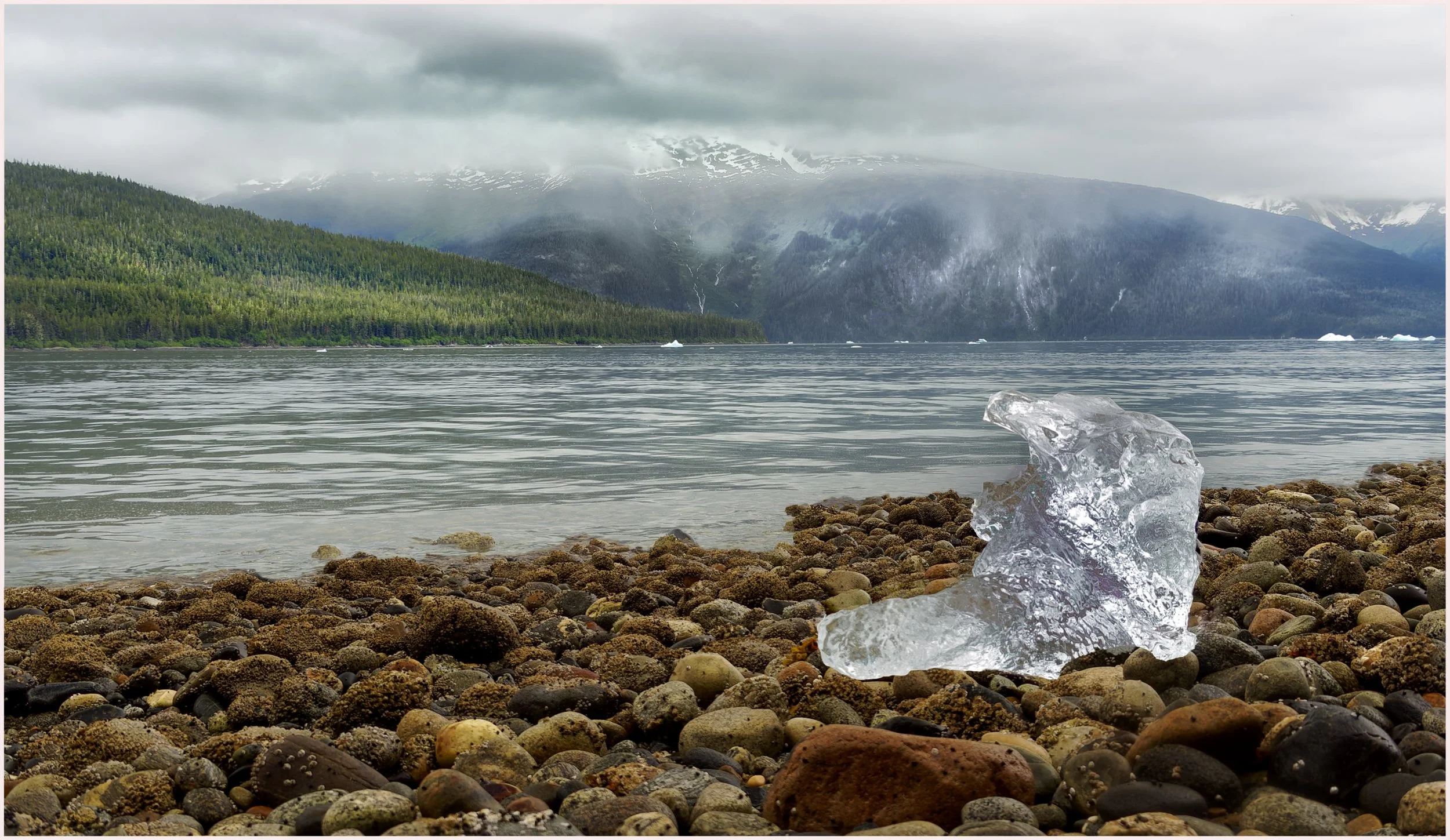 The Last of the Ice - Ian Probyn - 9 - Merit