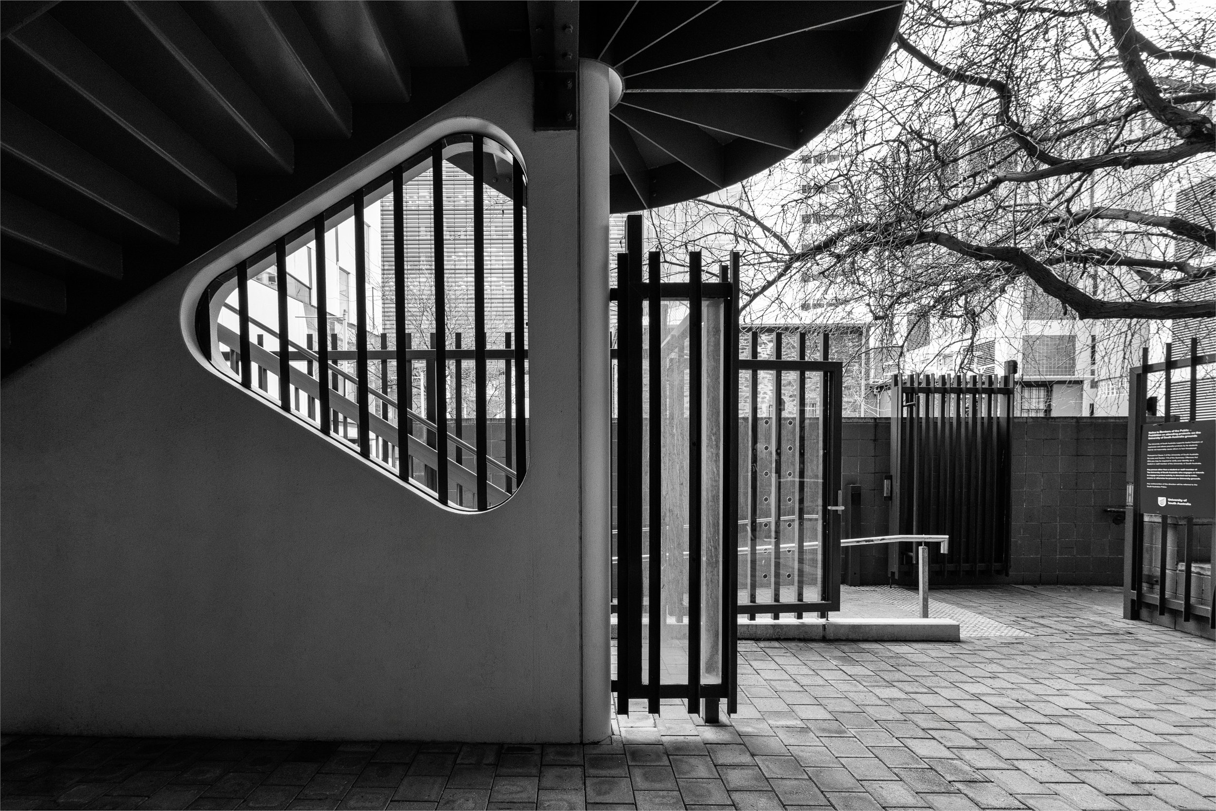 23 Judi Thies, AAPS From Under the Stairwell 02 Monochrome Digital.jpg