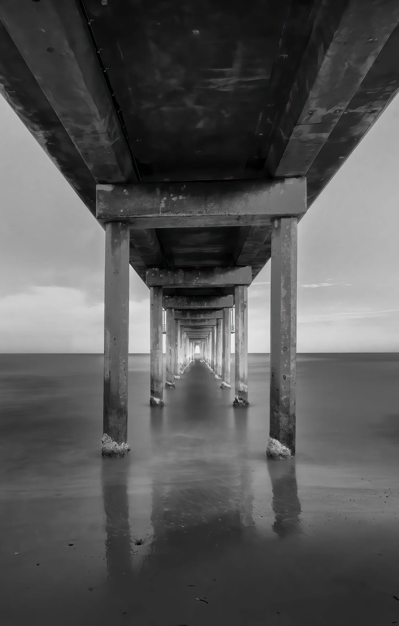 24 David Munro, EFIAP FAPS Brighton Jetty 02 Monochrome Digital.jpg