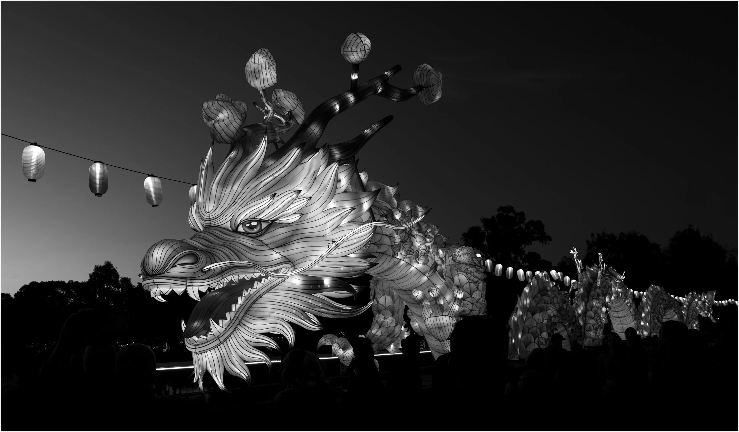 24 Denise Trewartha Elder Park Dragon 02 Monochrome Digital.jpg