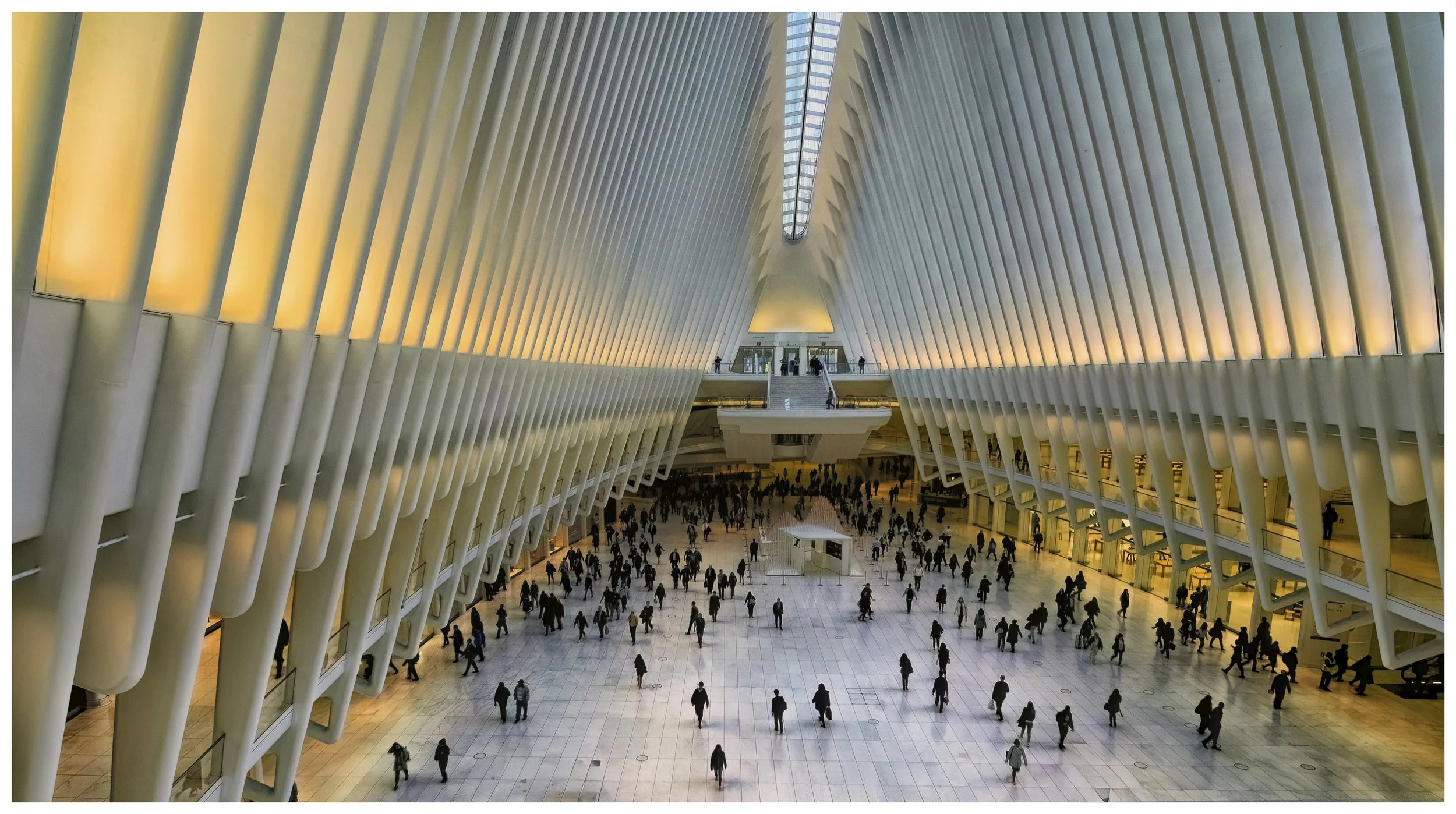 23 Paul OLeary Into the Oculus 12 Architecture Print.jpg