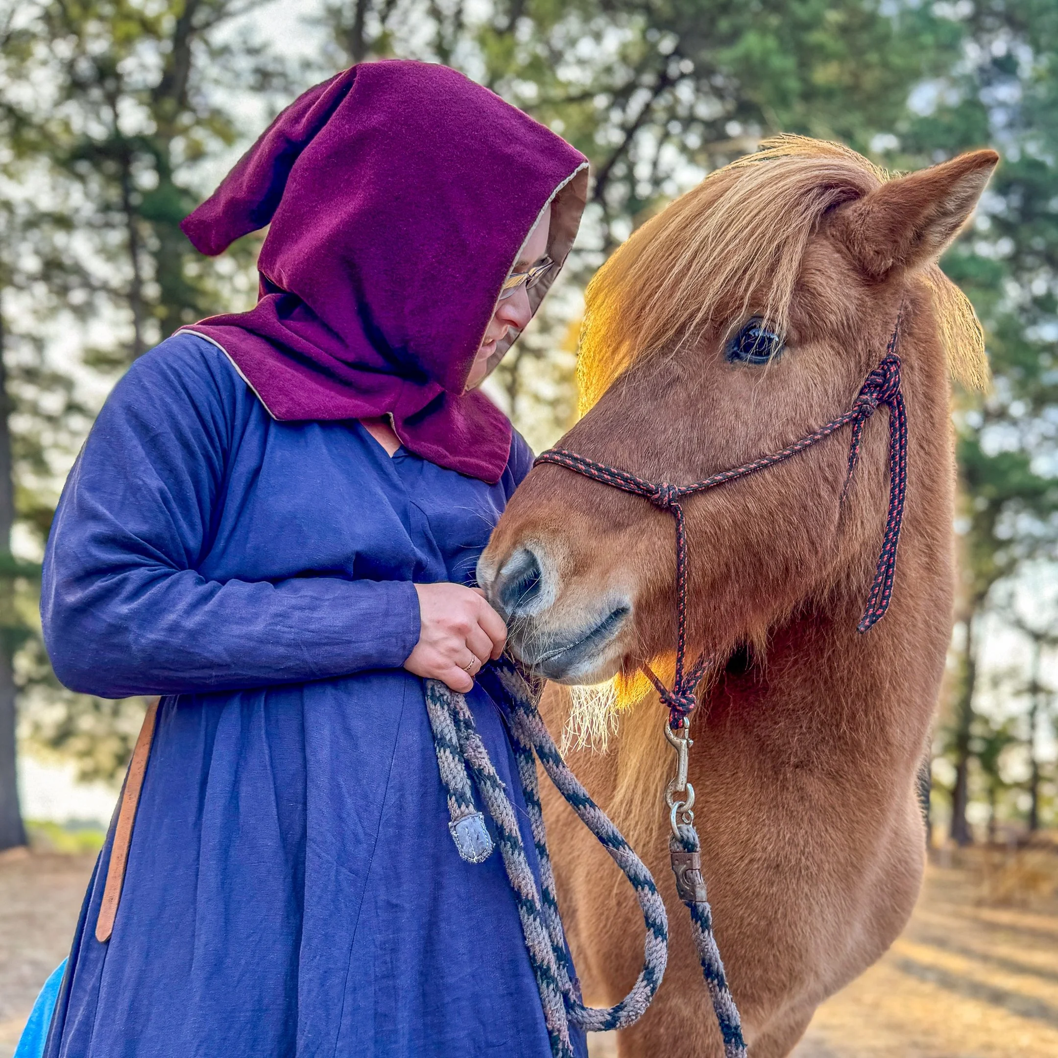 22 Judi Thies, AAPS Horse Whisperer 07 Colour Print.jpg