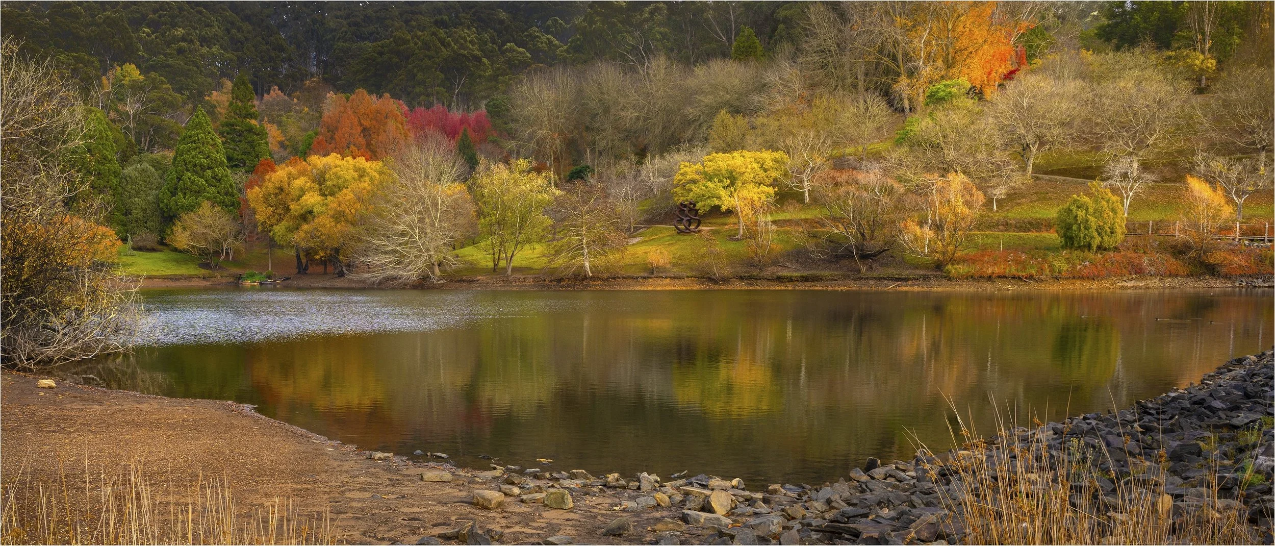 23 Peter Murphy Autumn at the Gardens 07 Colour Print.jpg