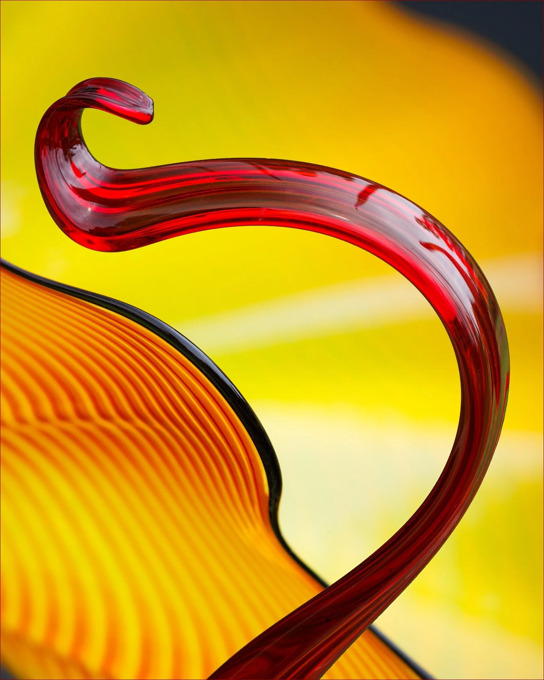 25 Aldo Trissi Combined Chihuly 07 Colour Print.jpg