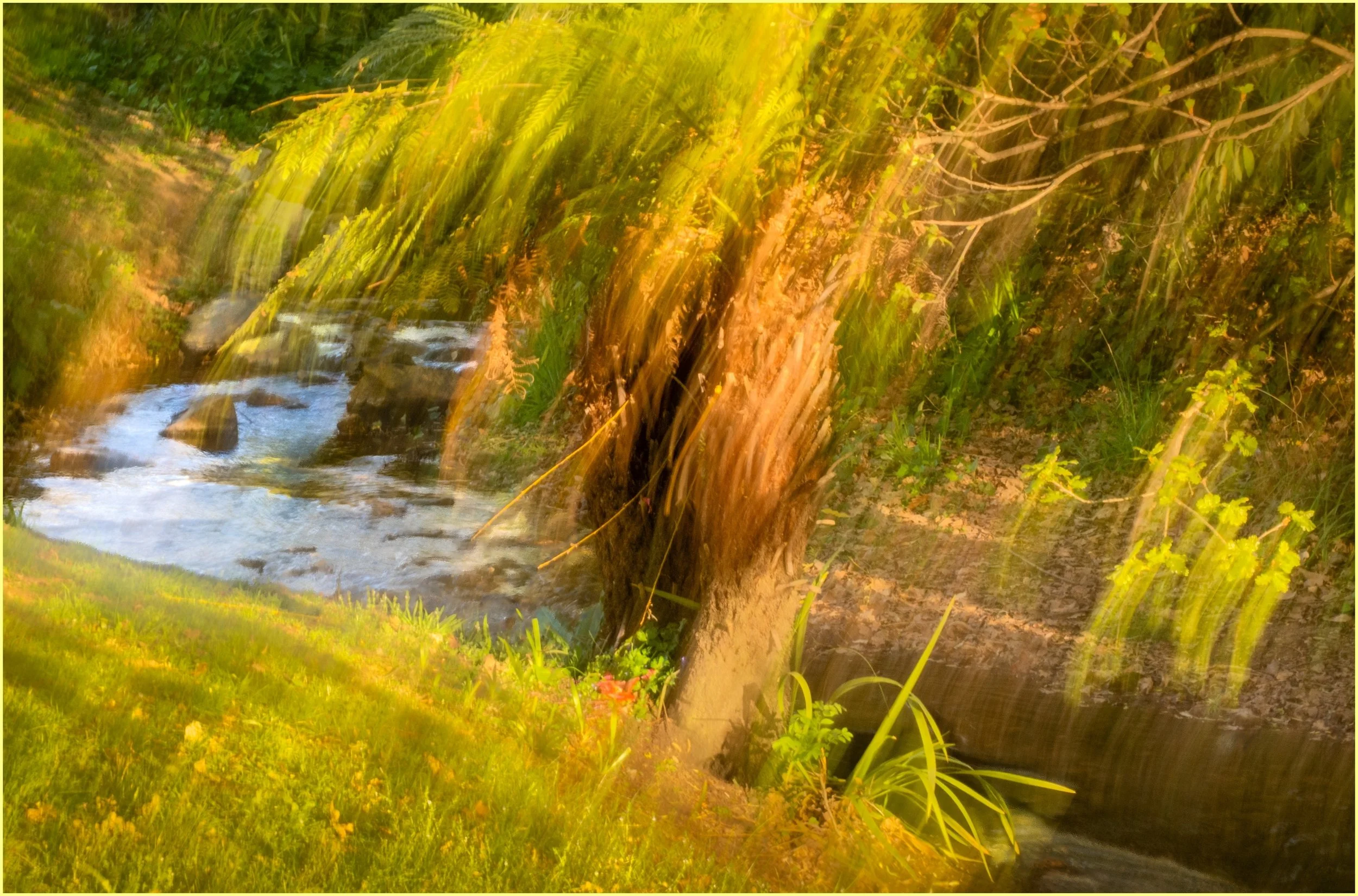 21 Geraldine Hough Down by the River 05 Creative Digital.jpg