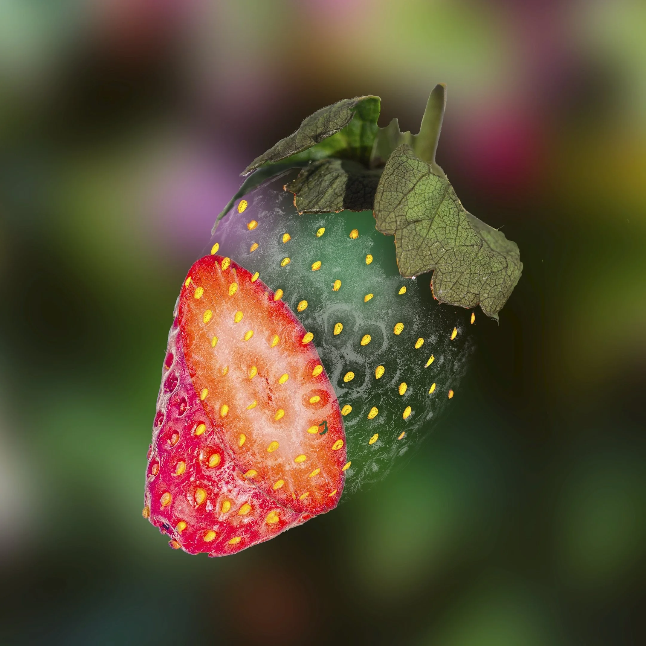 22 Paul OLeary Transparent Strawberry 05 Creative Digital.jpg