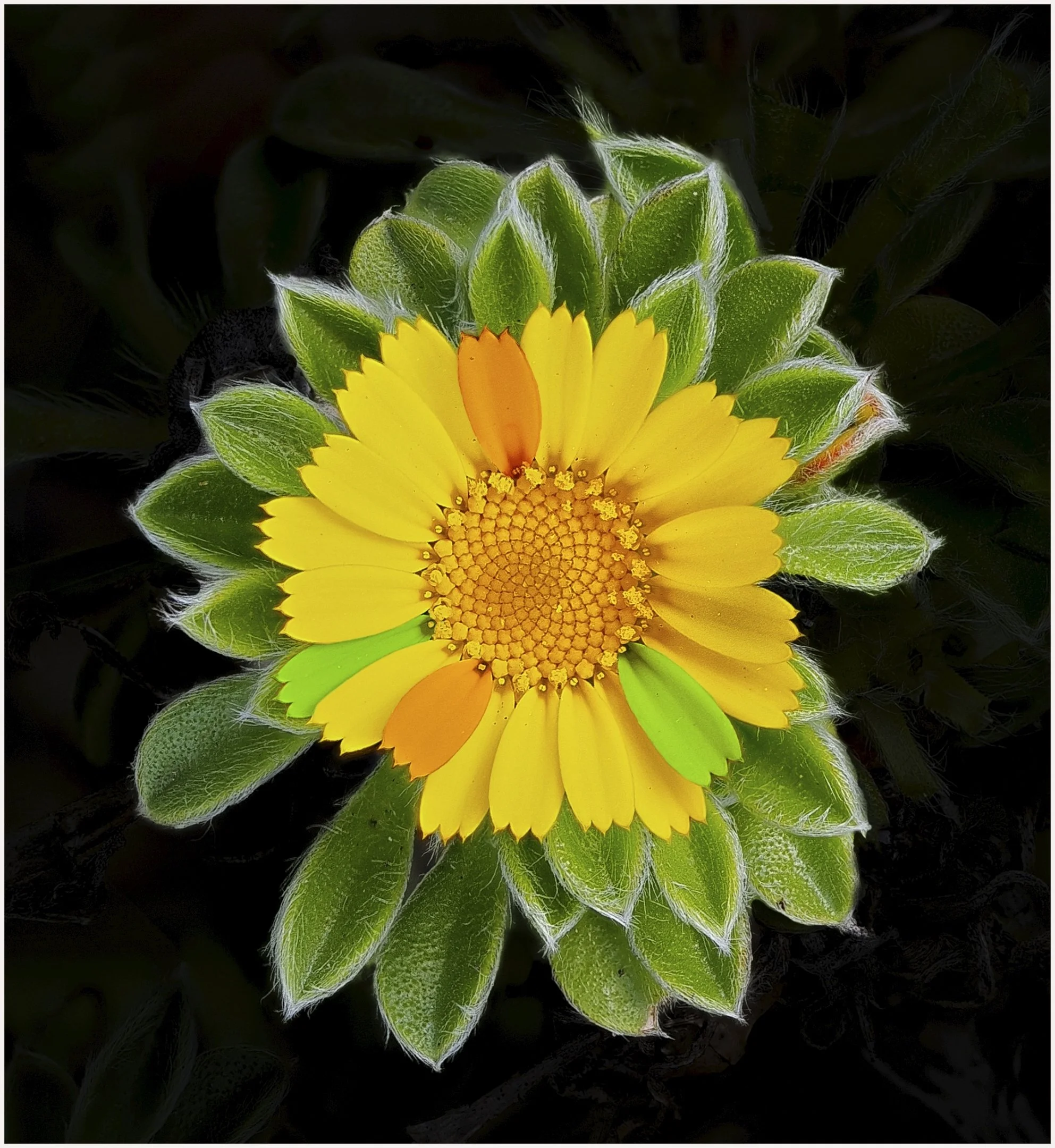 23 Ian Probyn Dare to be different 05 Creative Digital.jpg