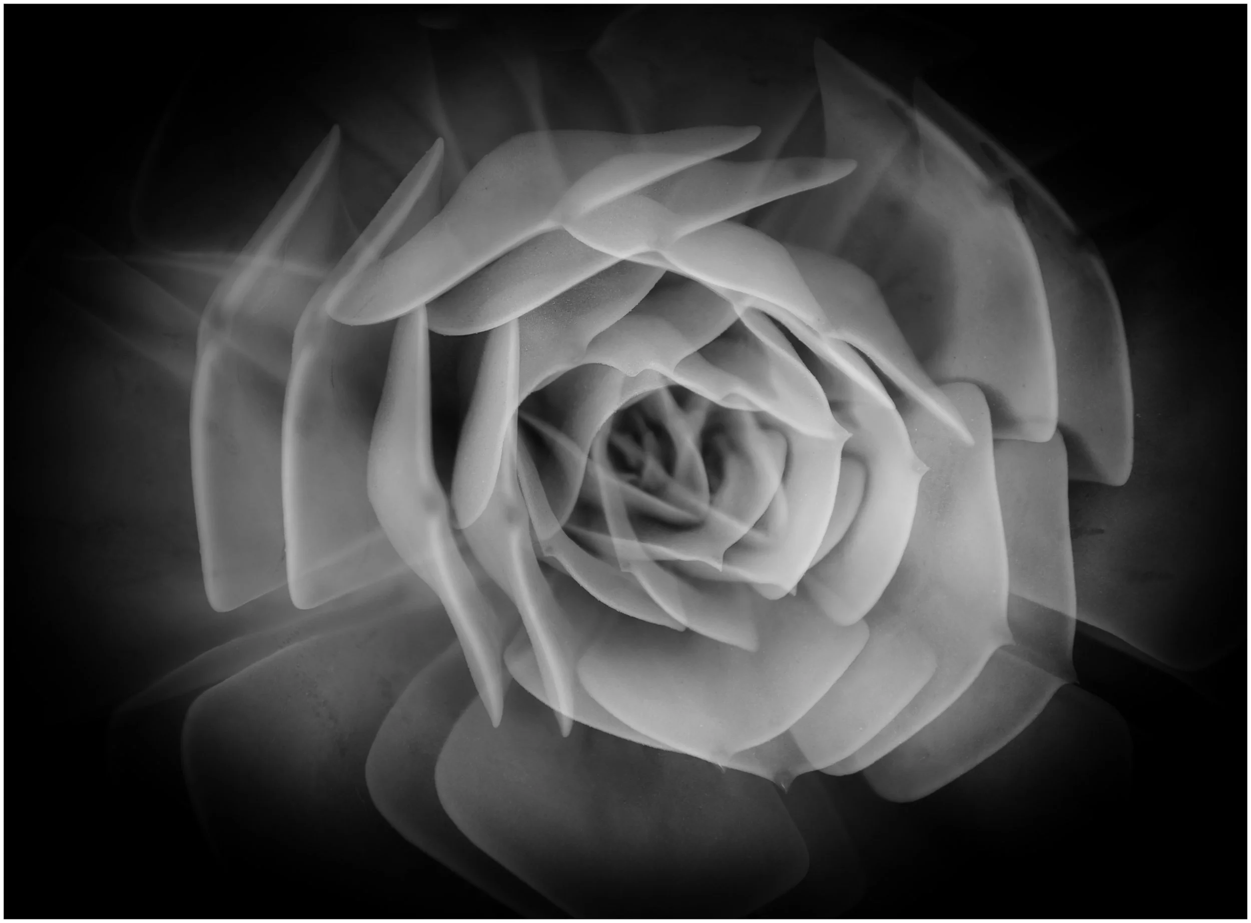 26 Denise Trewartha Double the beauty 05 Creative Digital.jpg