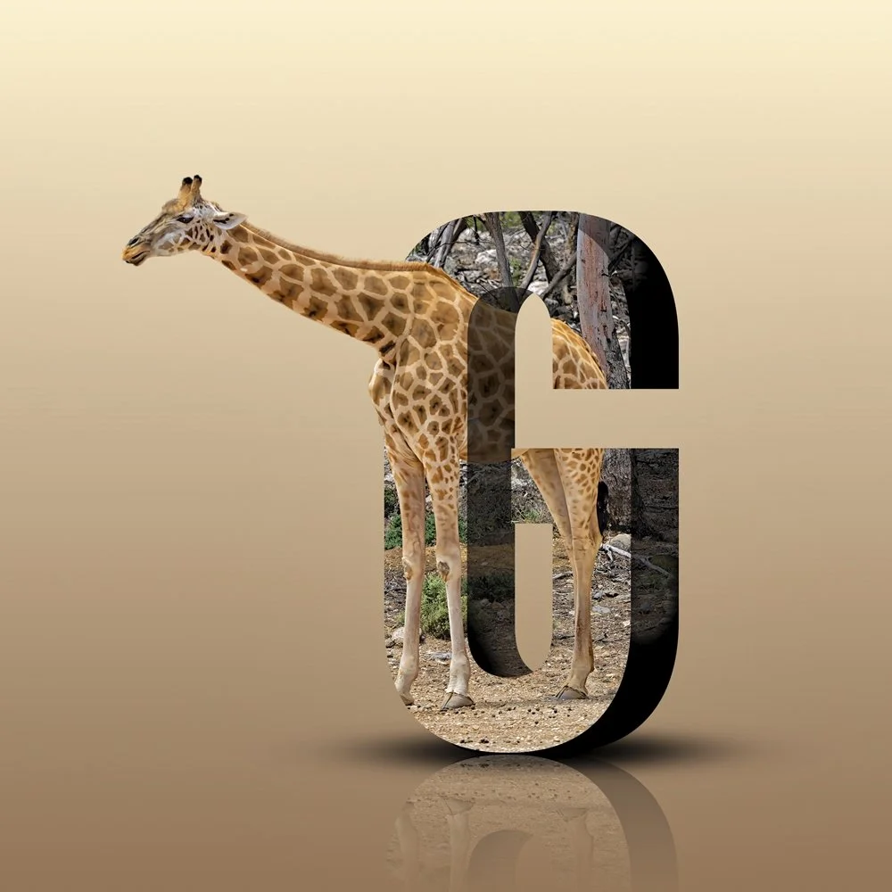 28 Paul OLeary G-is-For-... 05 Creative Digital.jpg