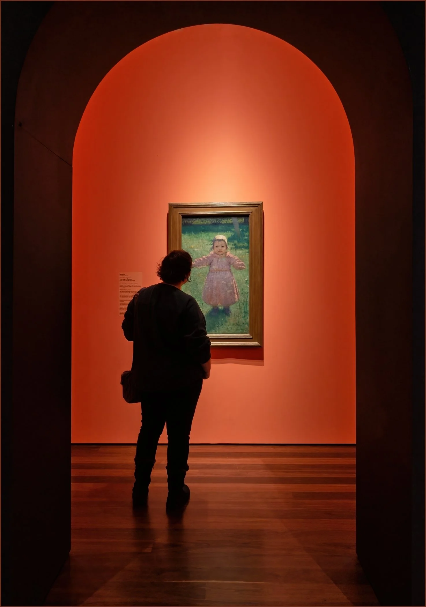 Brenda Jones EFIAP FAPS - The Viewer - 9 - Merit