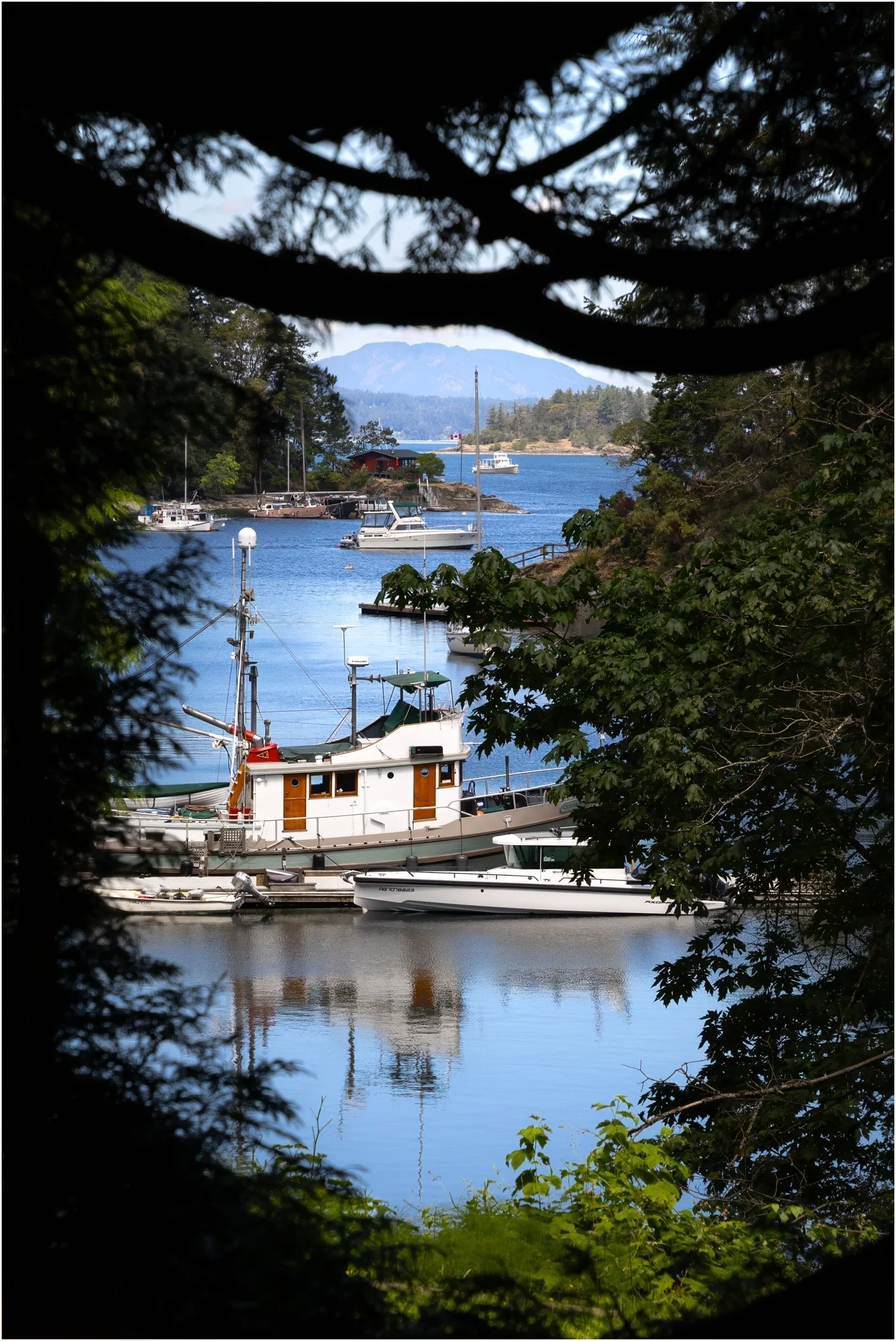 Denise Trewartha - Natural Window - 9 - Merit