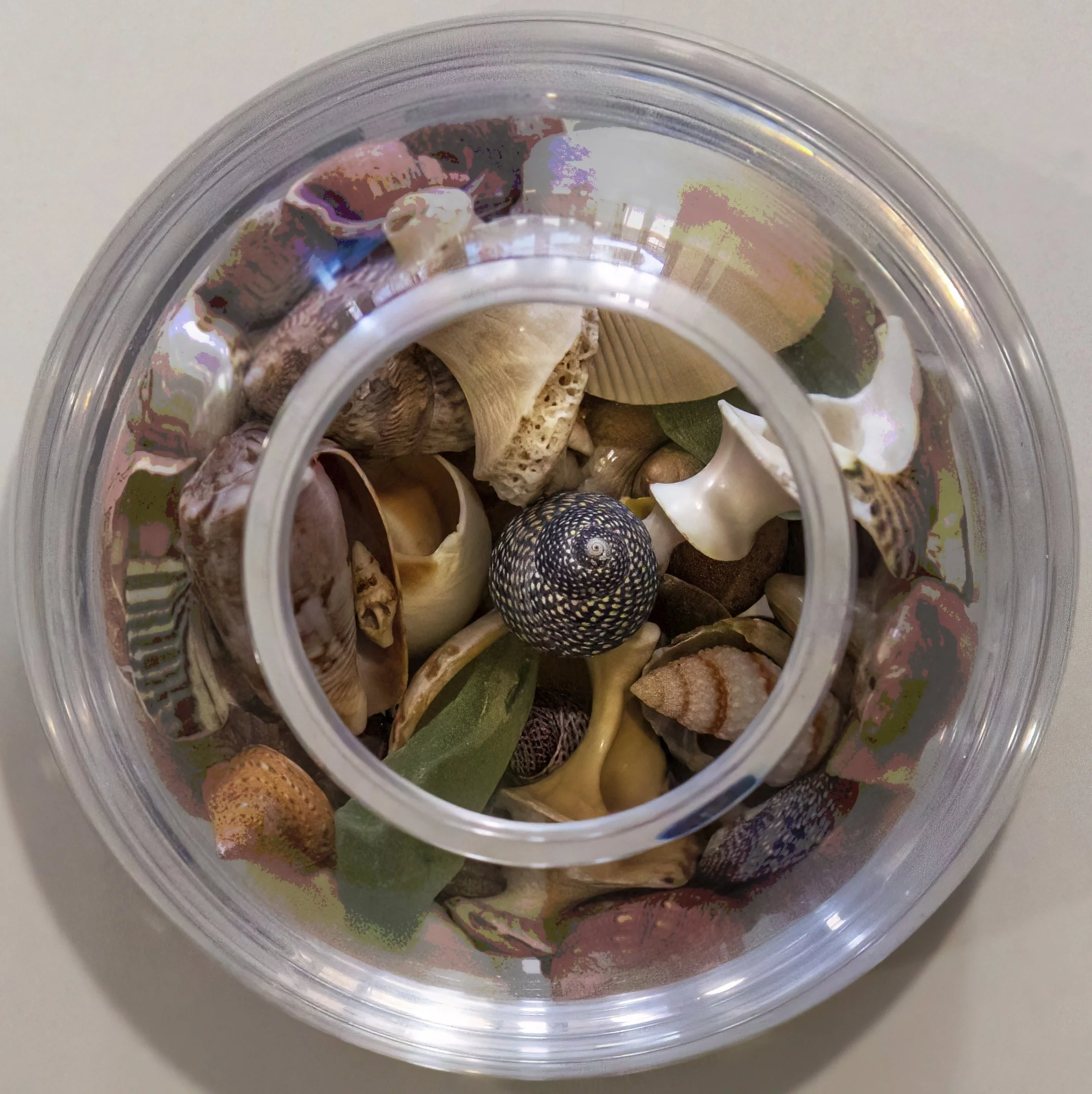 Yvonne Smuts - Ocean Memories - 9 - Merit