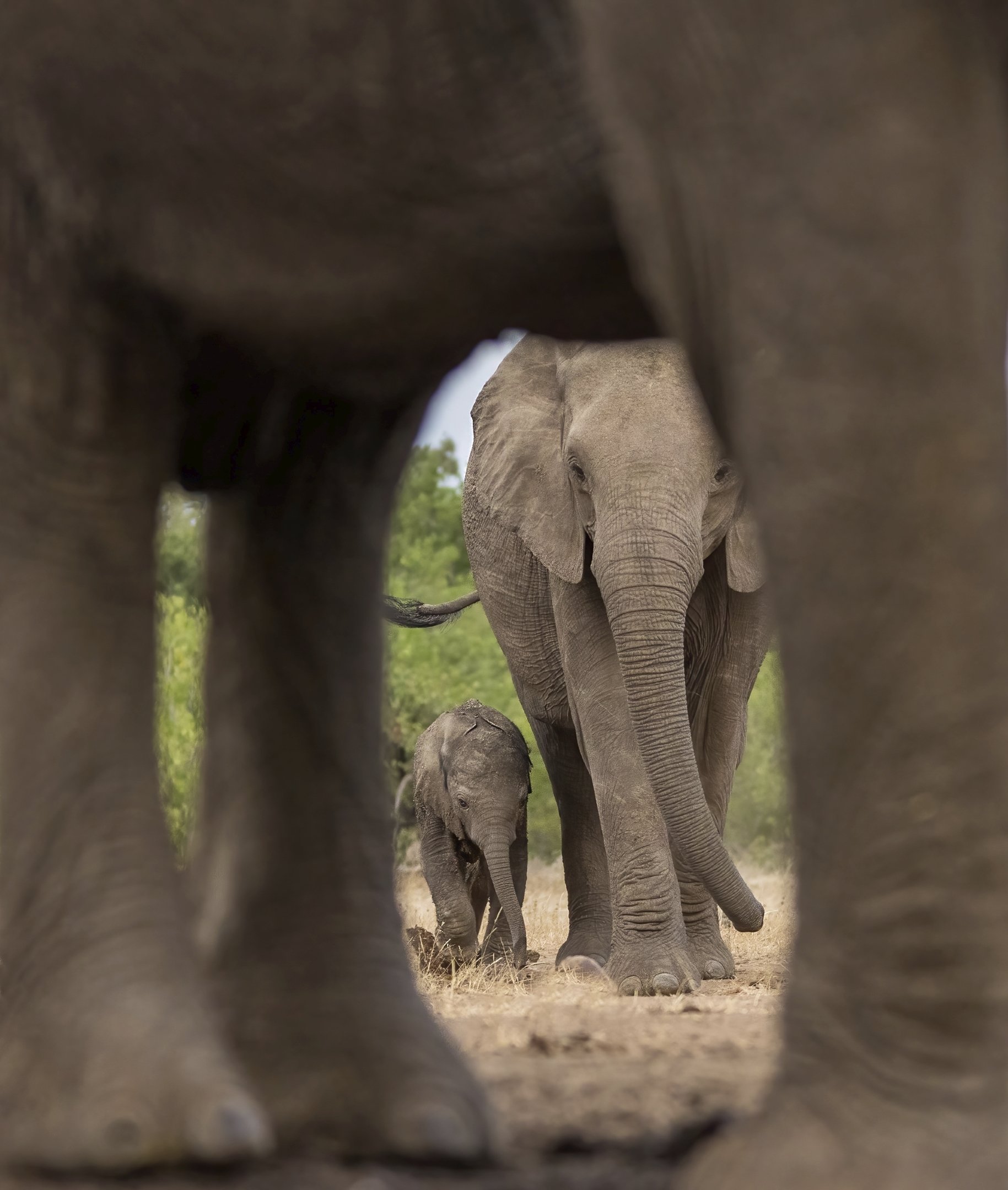 Yvonne Smuts - When I Grow Up - 10 - Honour