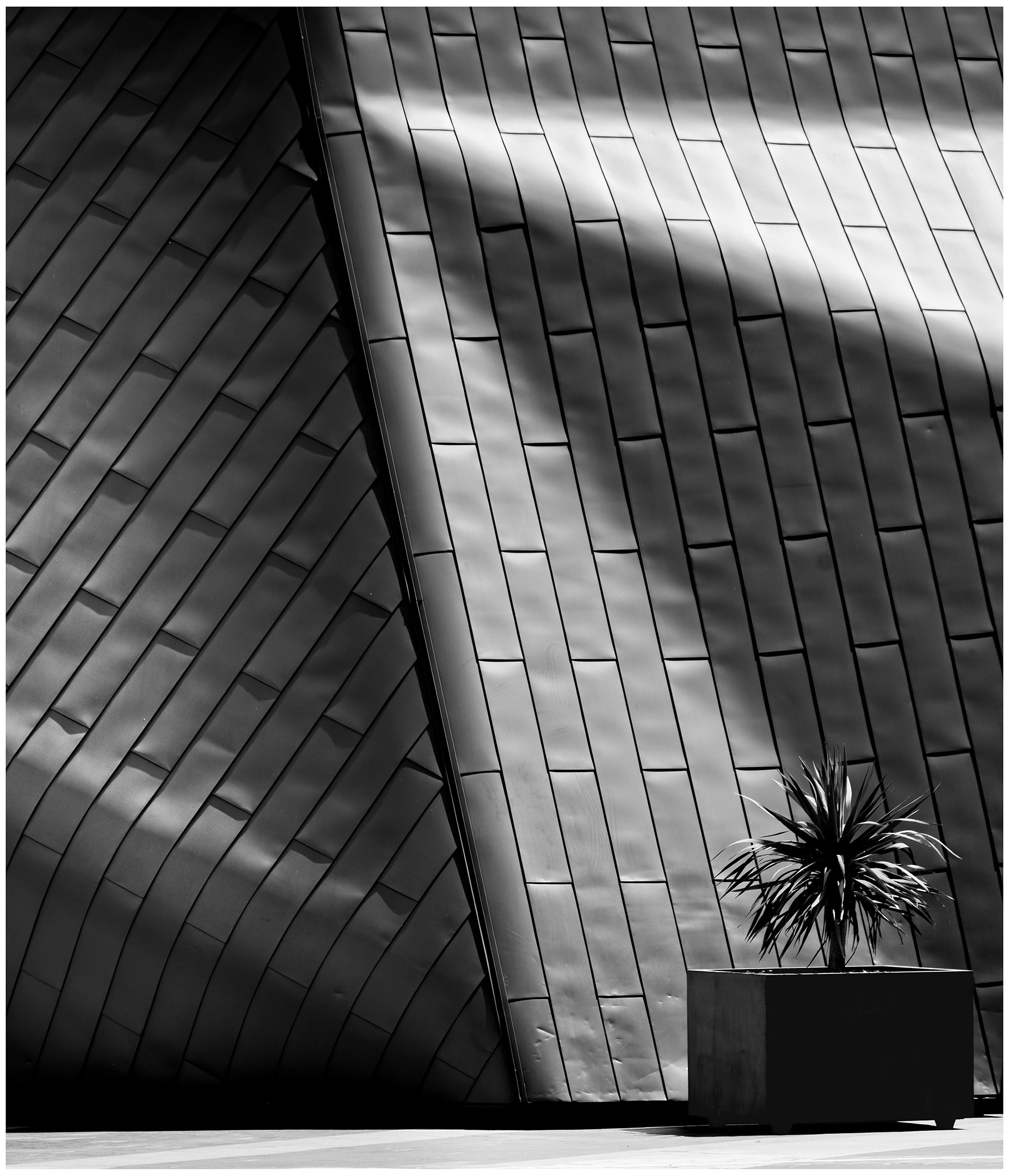 9~David Rees~Light & shadow~2026-02-17~Print - Mono.jpg