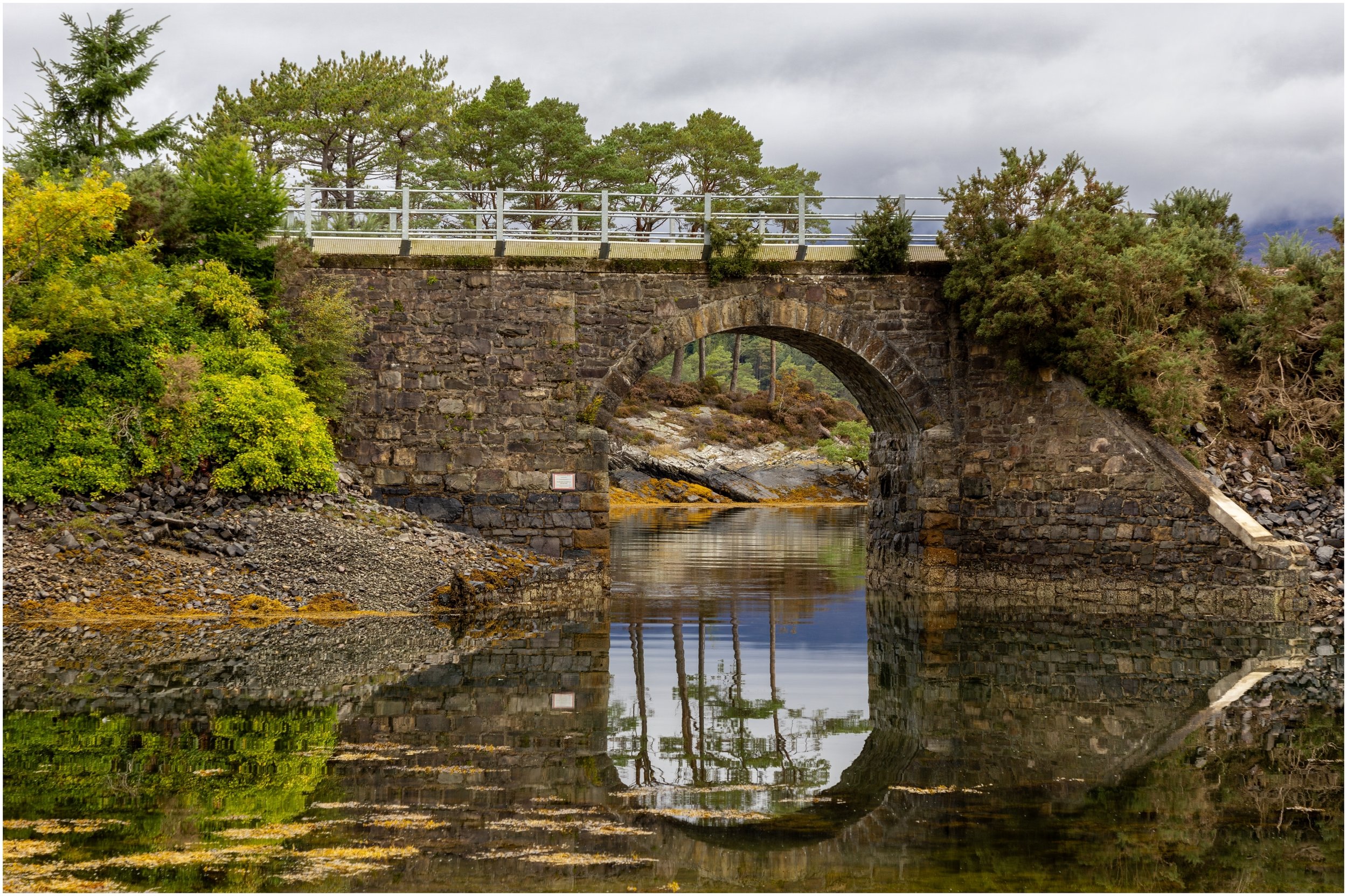 9~Denise Trewartha~Mirror image~2026-02-17~Digital - Open.jpg