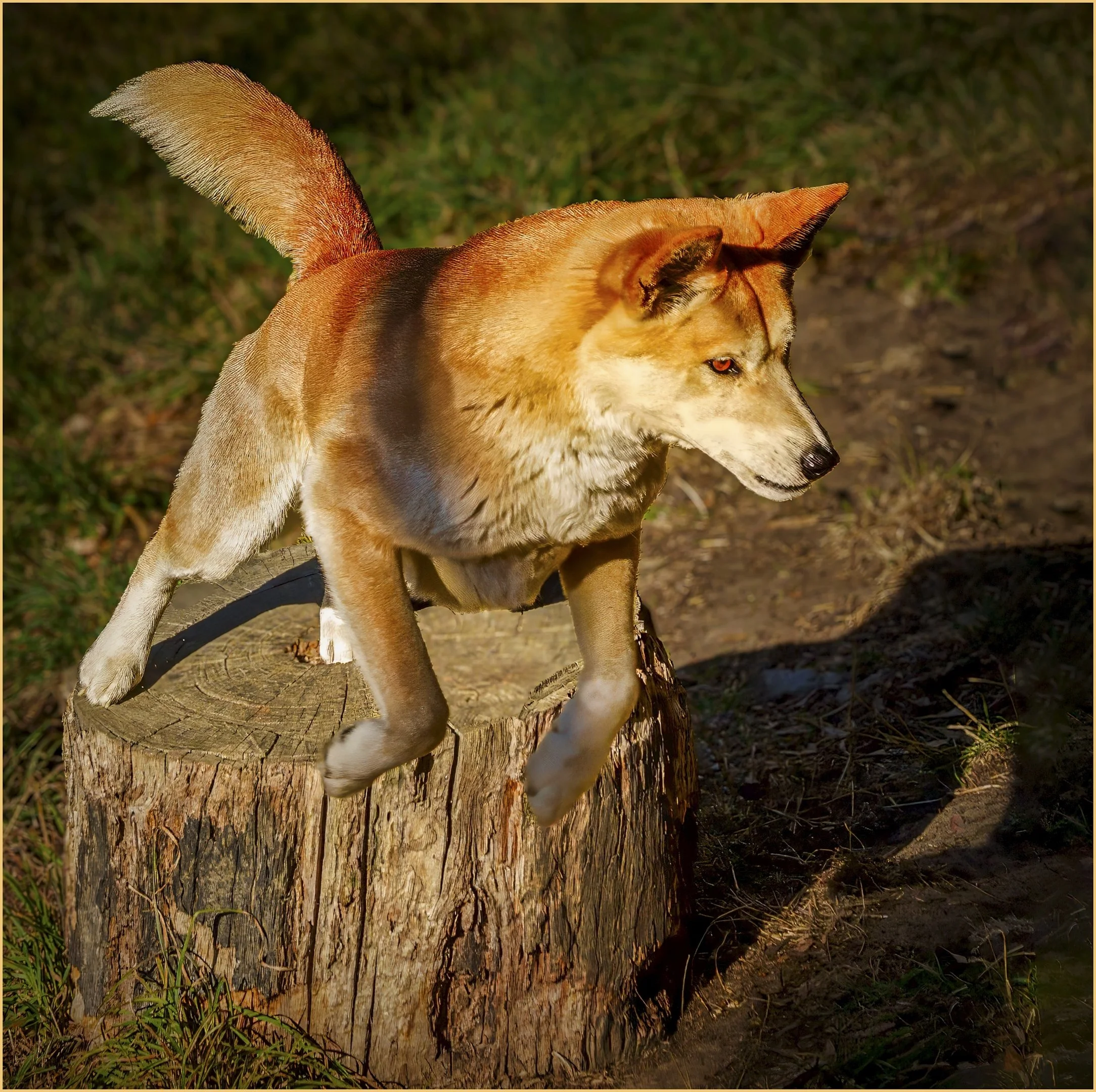 9~Ross Lange~FOOD!~2026-02-17~Digital - Open.jpg