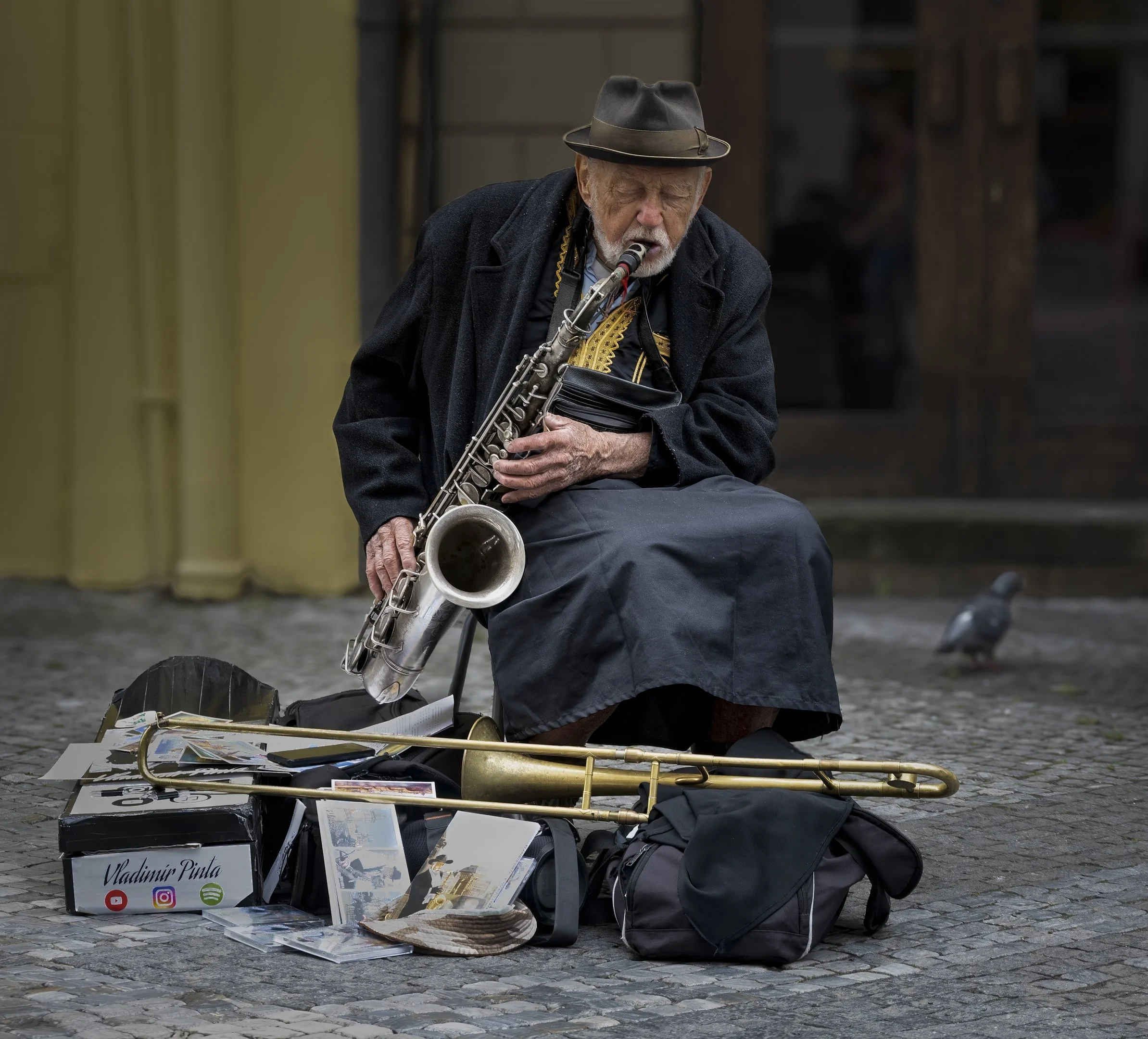 9~Ruth Benson, EFIAP, QPSA, FAPS~Street Musician~2026-02-17~Digital - Open.jpg