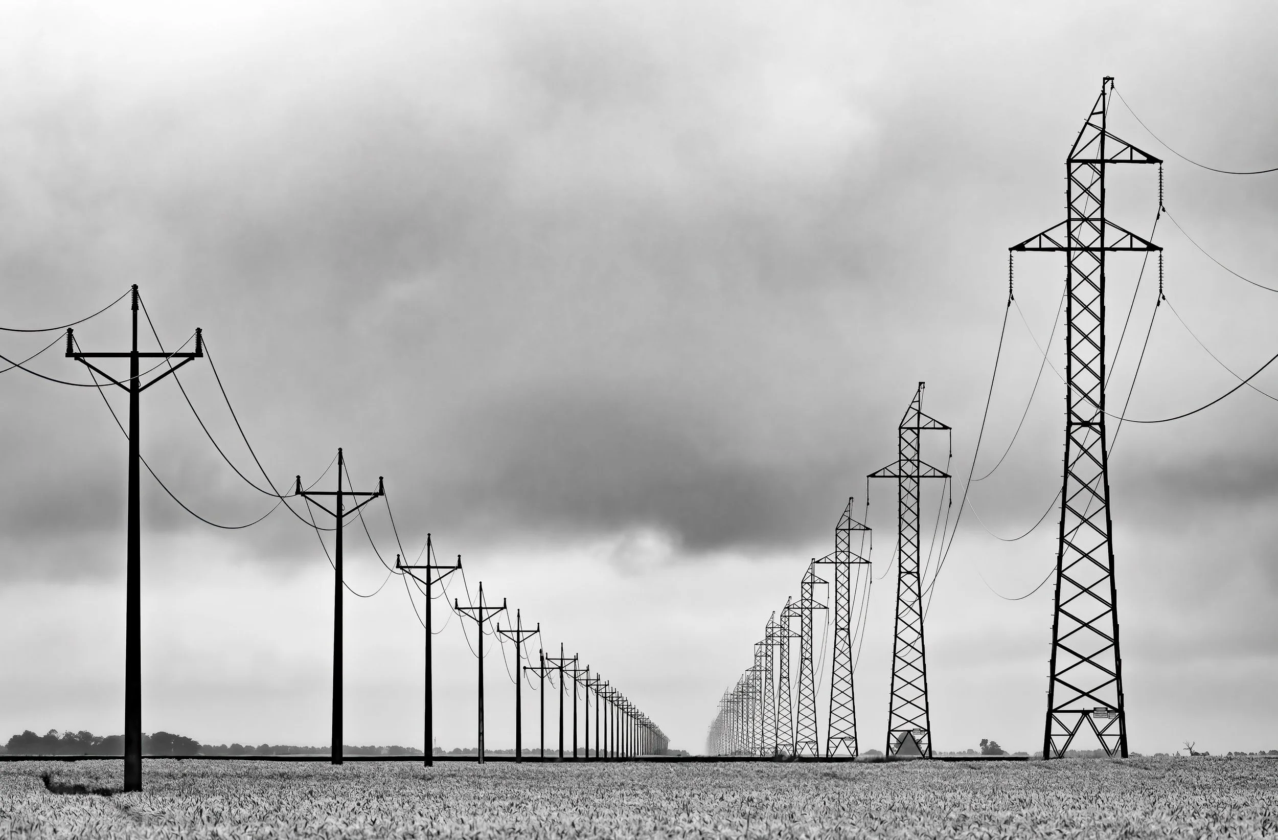 9~Wayne Hough~Transmission~2026-02-17~Print - Mono.jpg