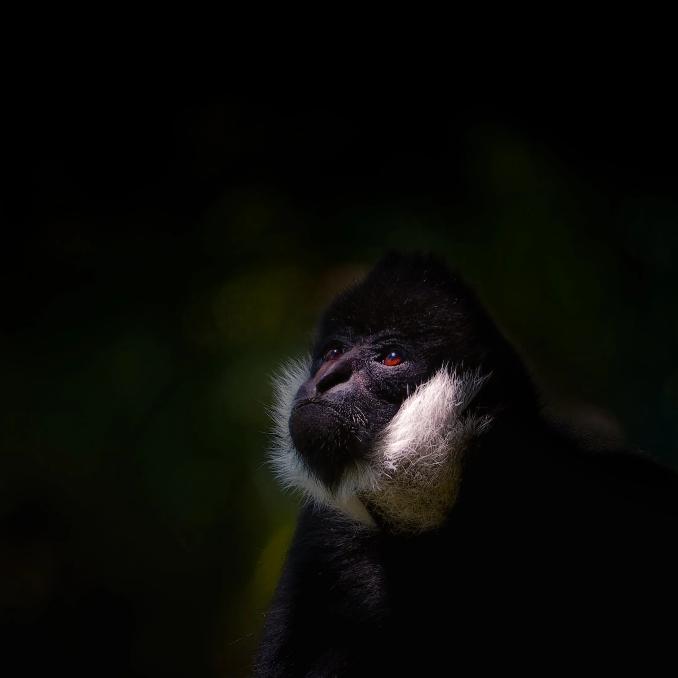 10~Alan Bevan, AAPS~Pensive~2026-03-17~Print - Nature.jpg