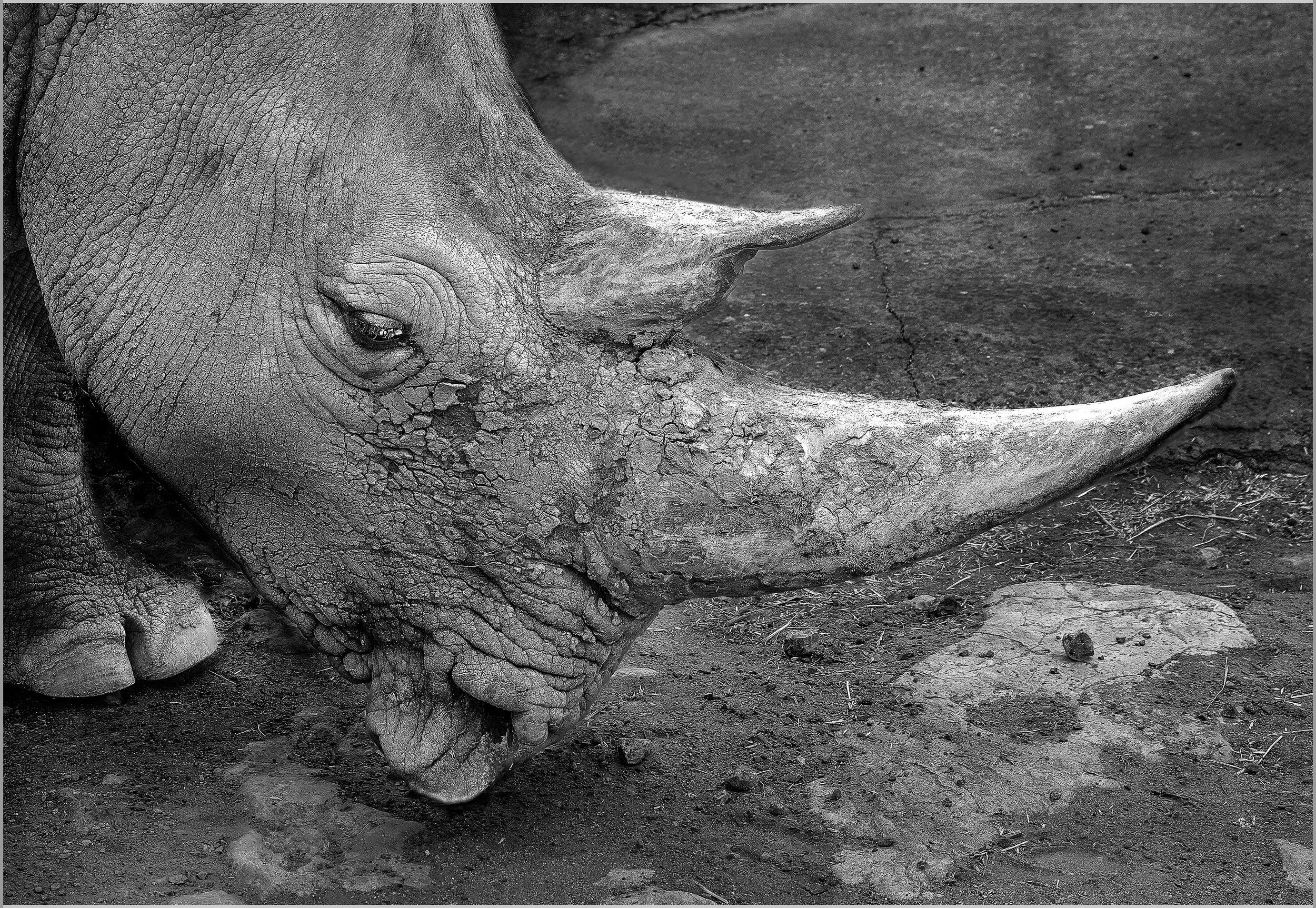 Geraldine Hough - I Love Mud - 9 - Merit