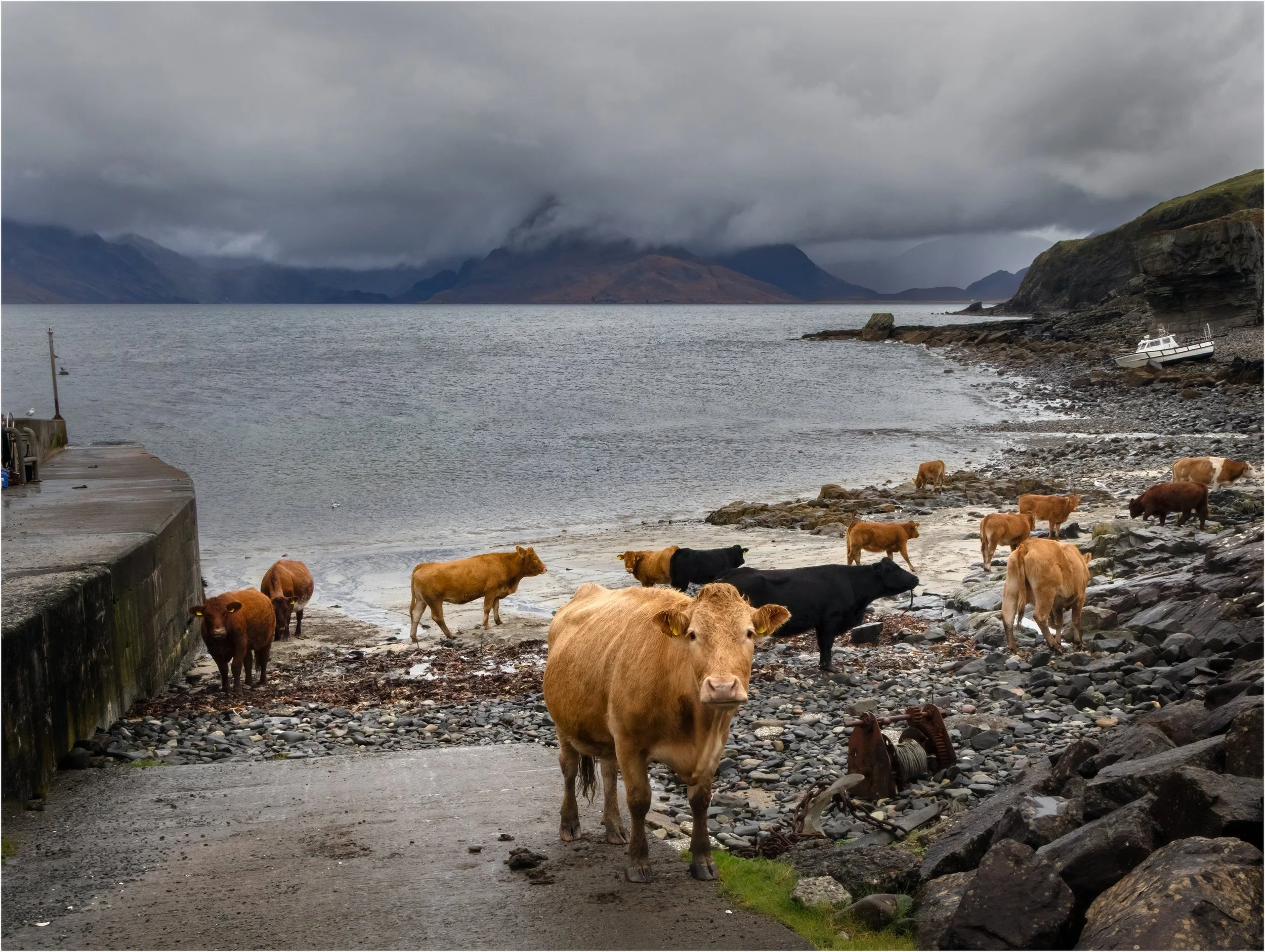 David Munro, EFIAP FAPS - Seaweed brunch at Elgol - 9