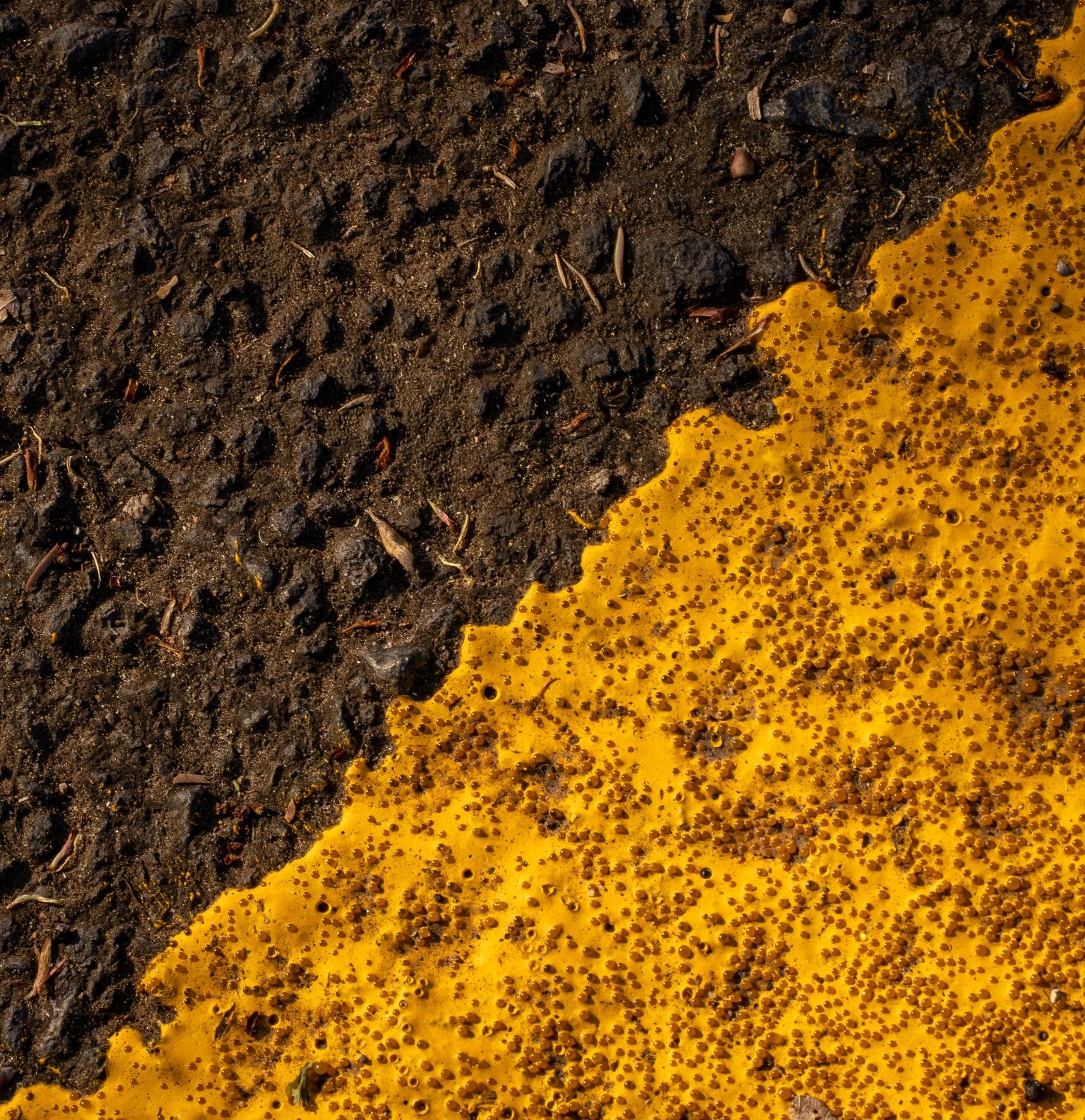 Geraldine Hough - Don't Cross The Yellow Line - 9