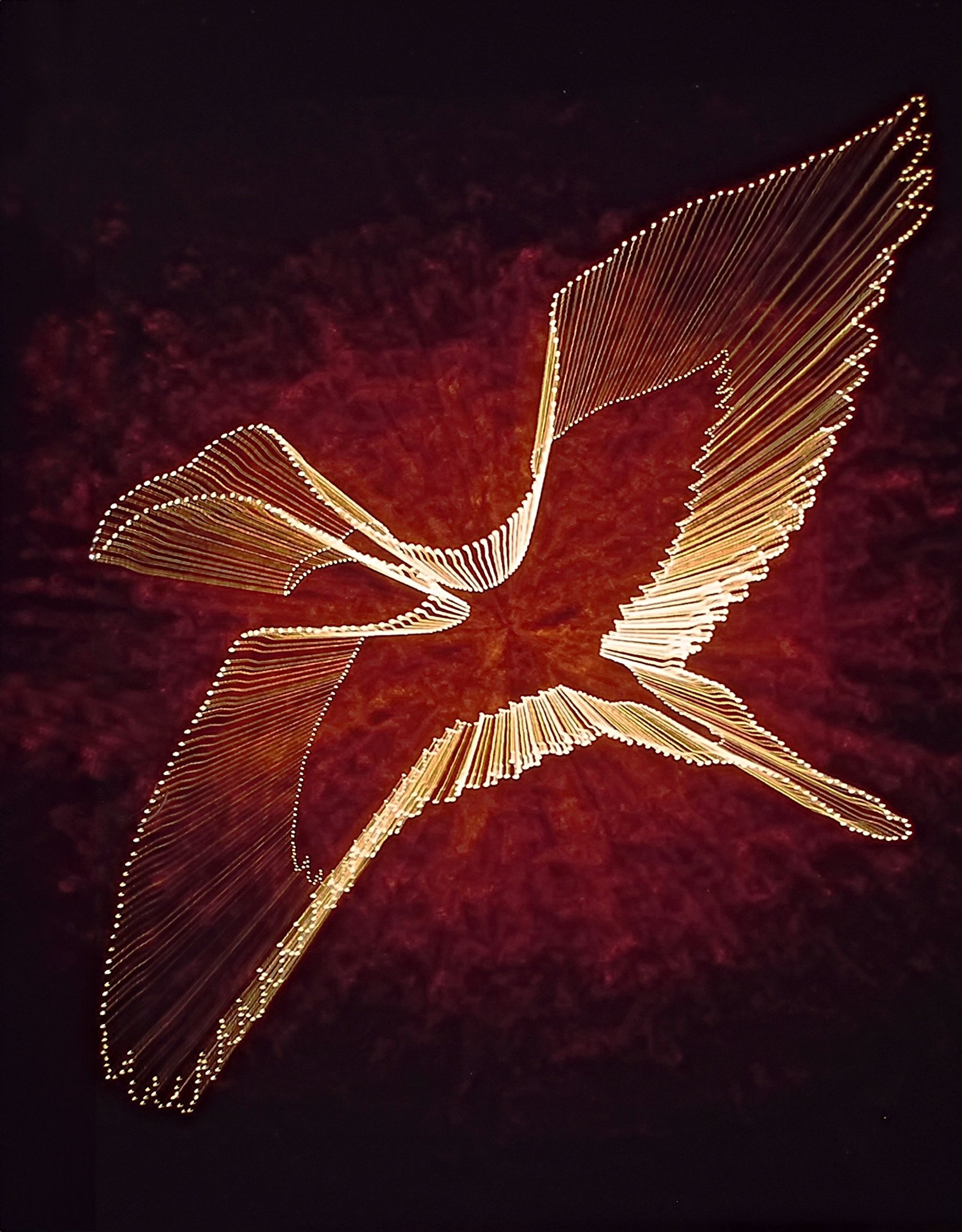 David Thompson-Flight of the Phoenix-10 Honour
