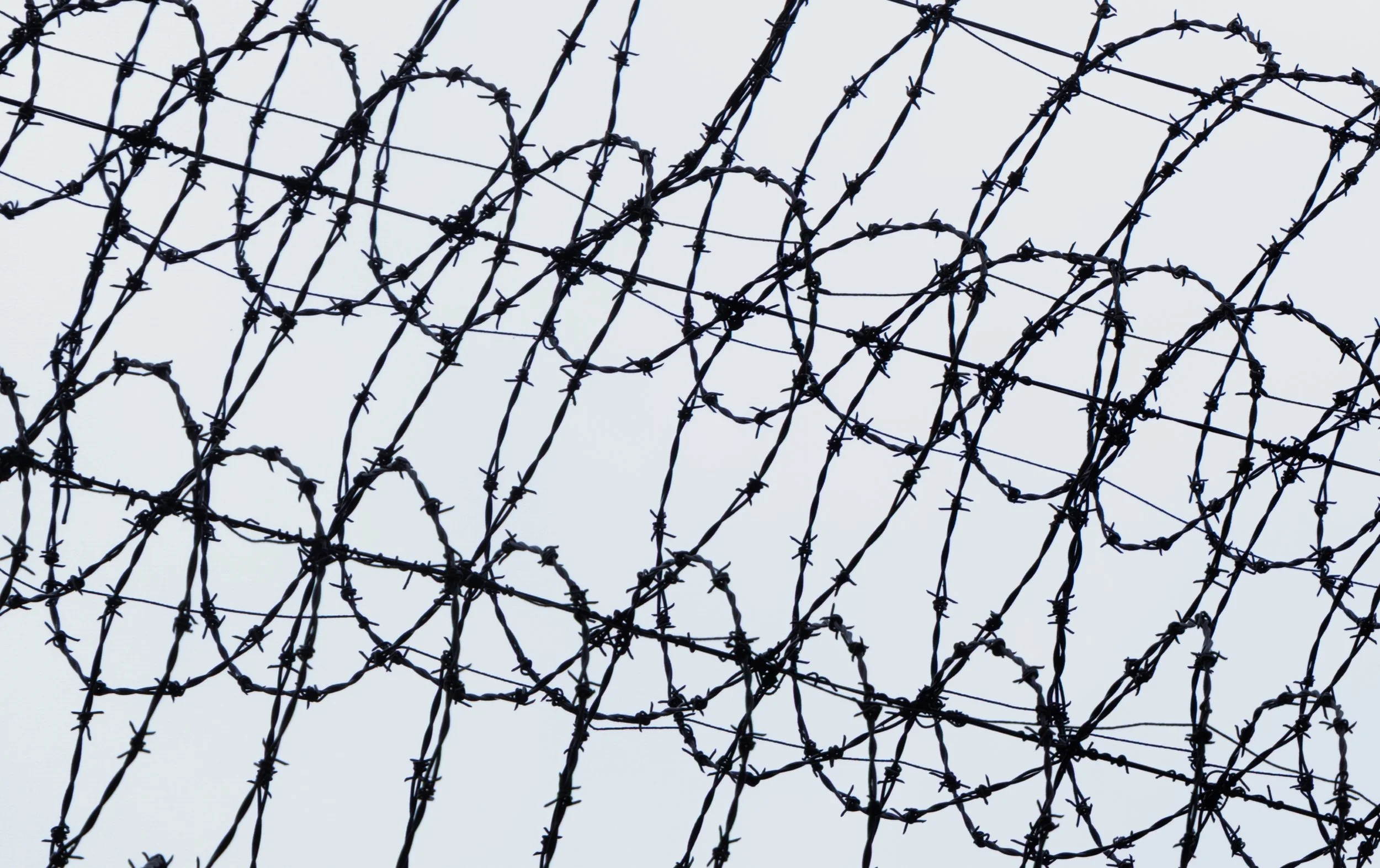 Rosemary McArthur-A Barbed Barrier-10 Honour