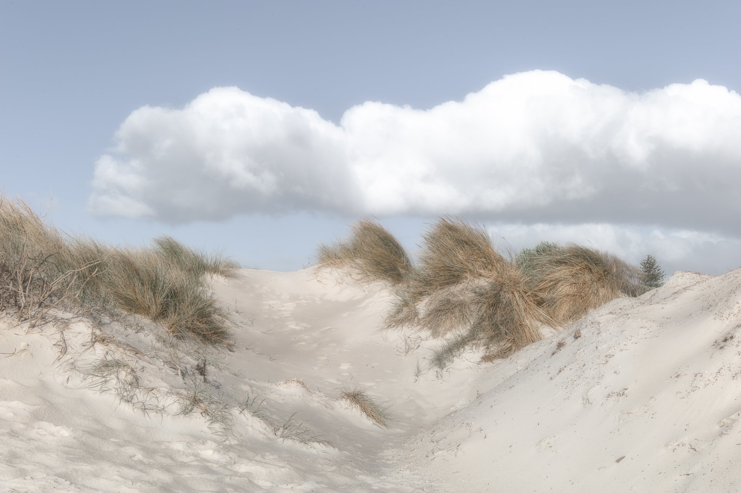David Bishop-Winter Sandscape-10 Honour