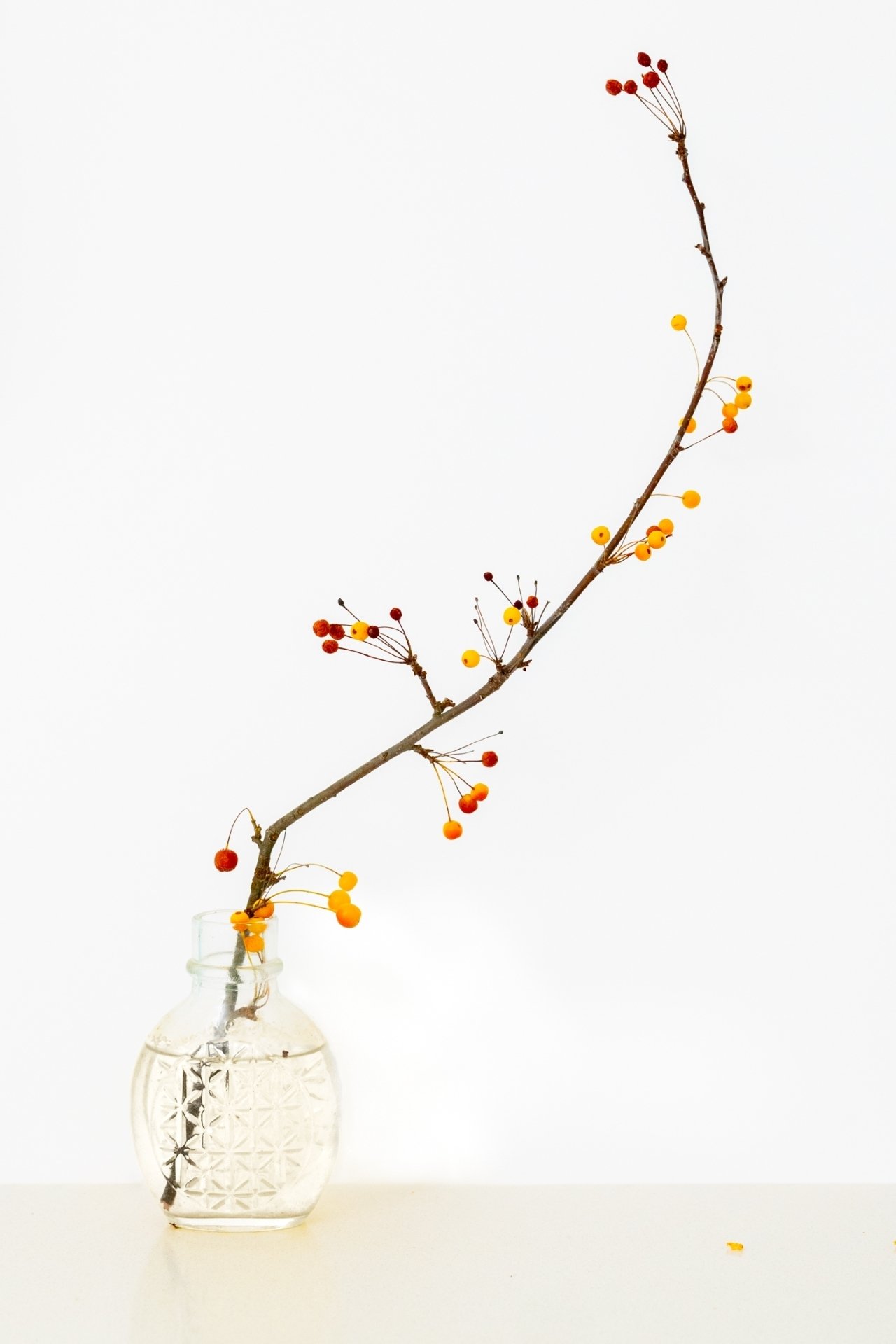 David Bishop-Autumn-9