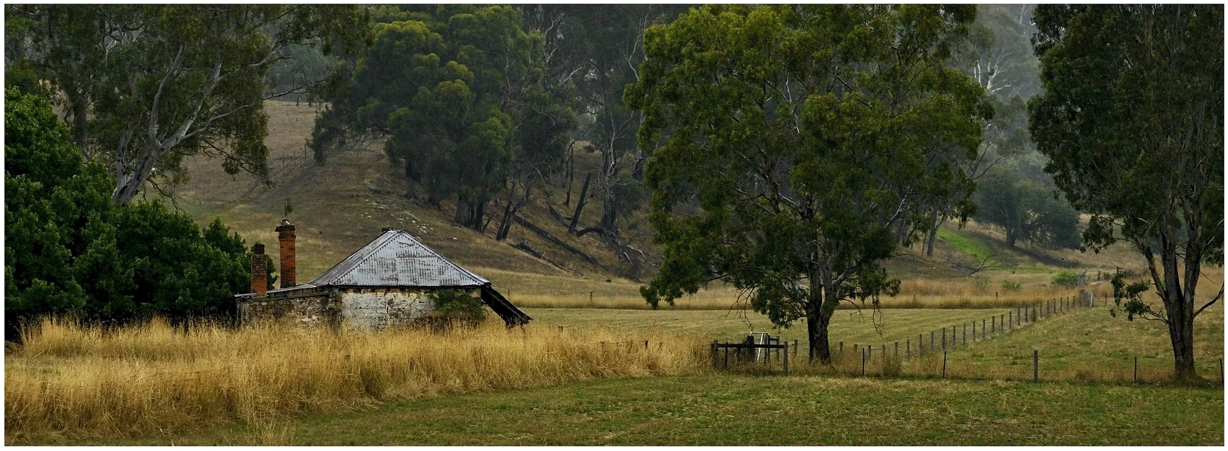 Michael Philpots-Green-After Autumn Rains Woodside-10