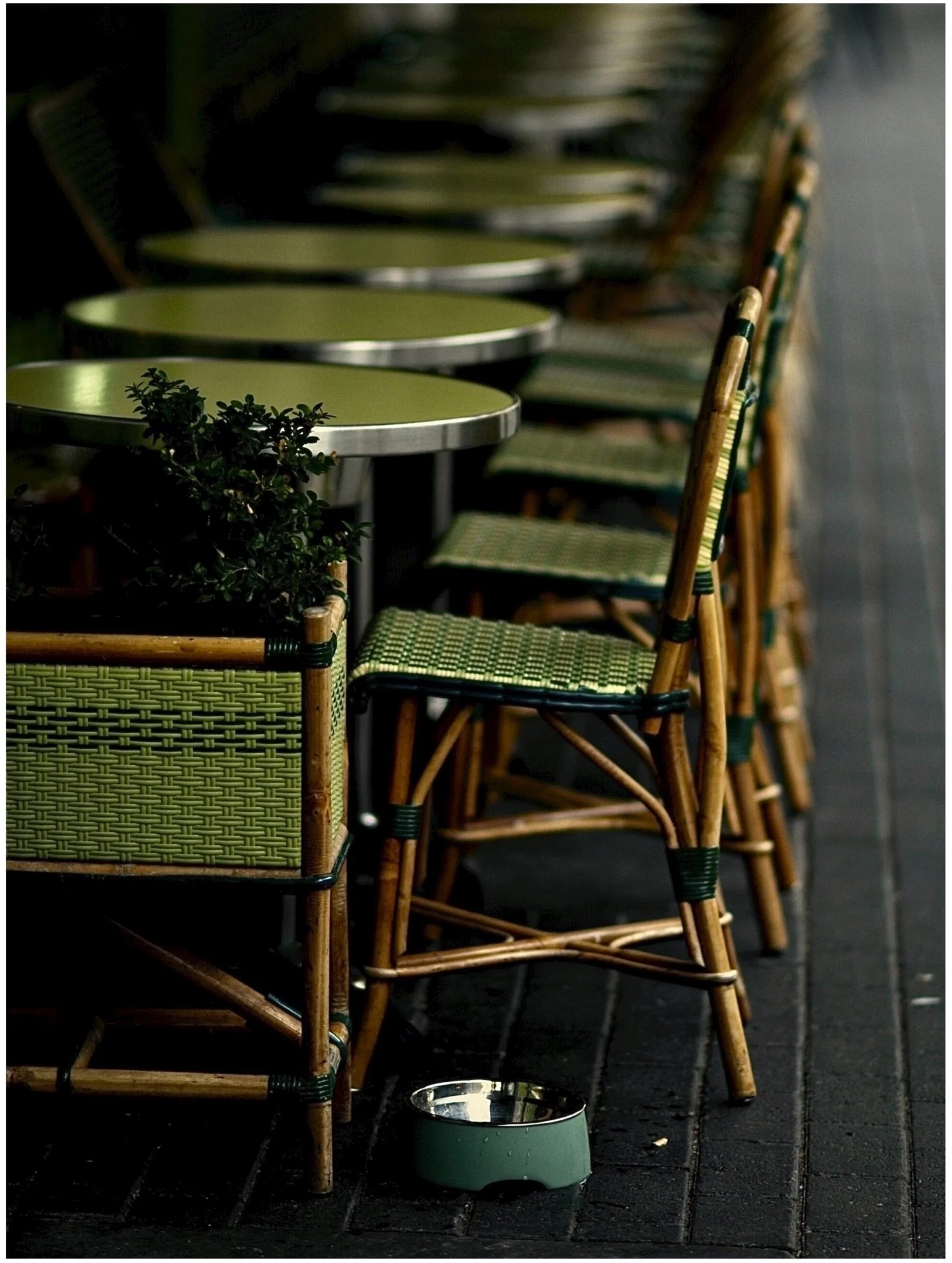 Michael Philpots-Green-A Setting For One-9-Merit