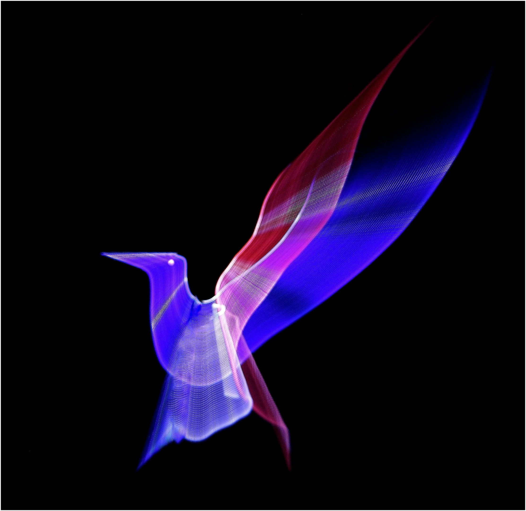 Vince Calo-Flying High-9-Merit