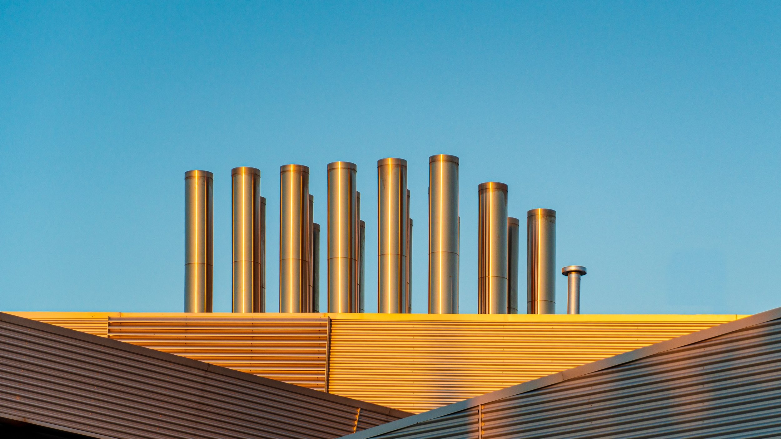 Robert Dettman, AFIAP AAPS CAPA_b-Flues-10-Honour