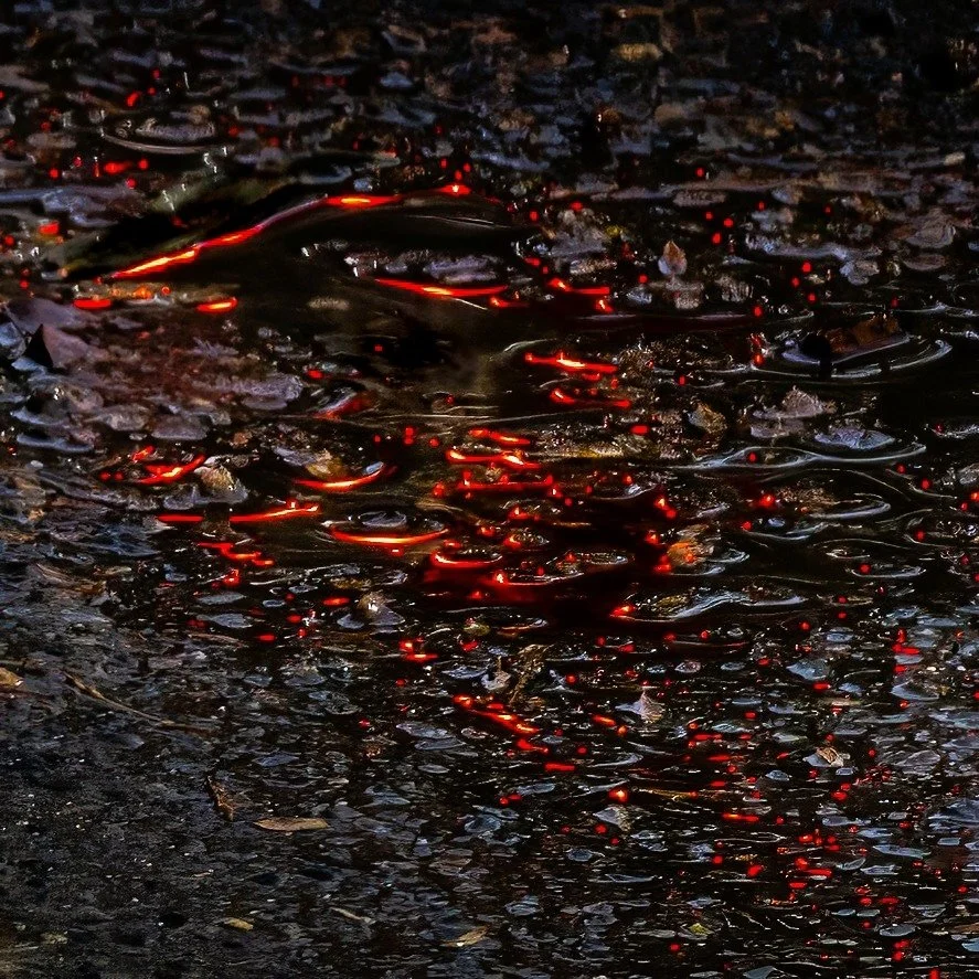 9~Philip Ingerson~Brake Light Cinders~2026-08-18~Digital - Abstract Reflections.jpg