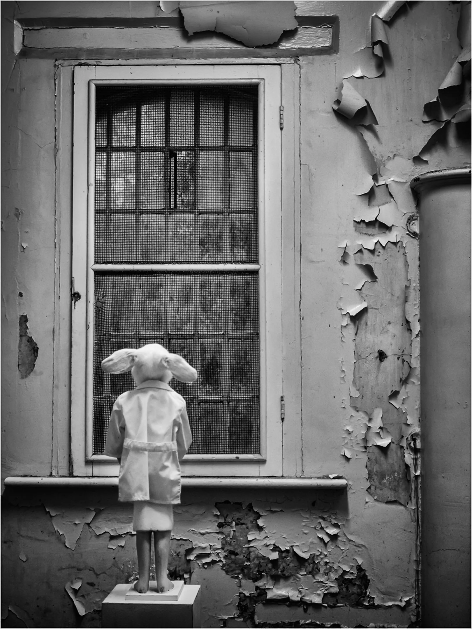 10~Judi Thies, AAPS~A Rabbitting Sight~2026-08-18~Print - Mono.jpg